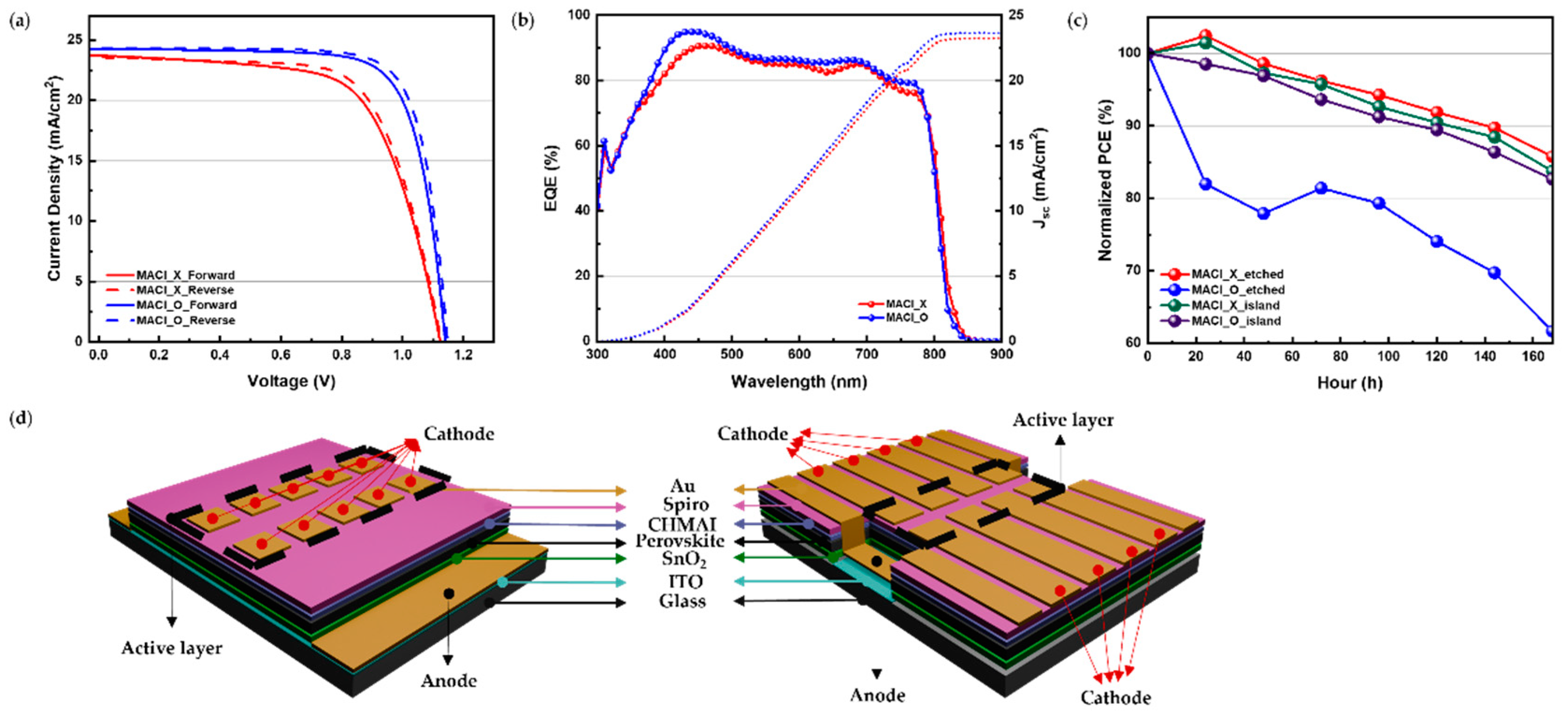 Preprints 143352 g006