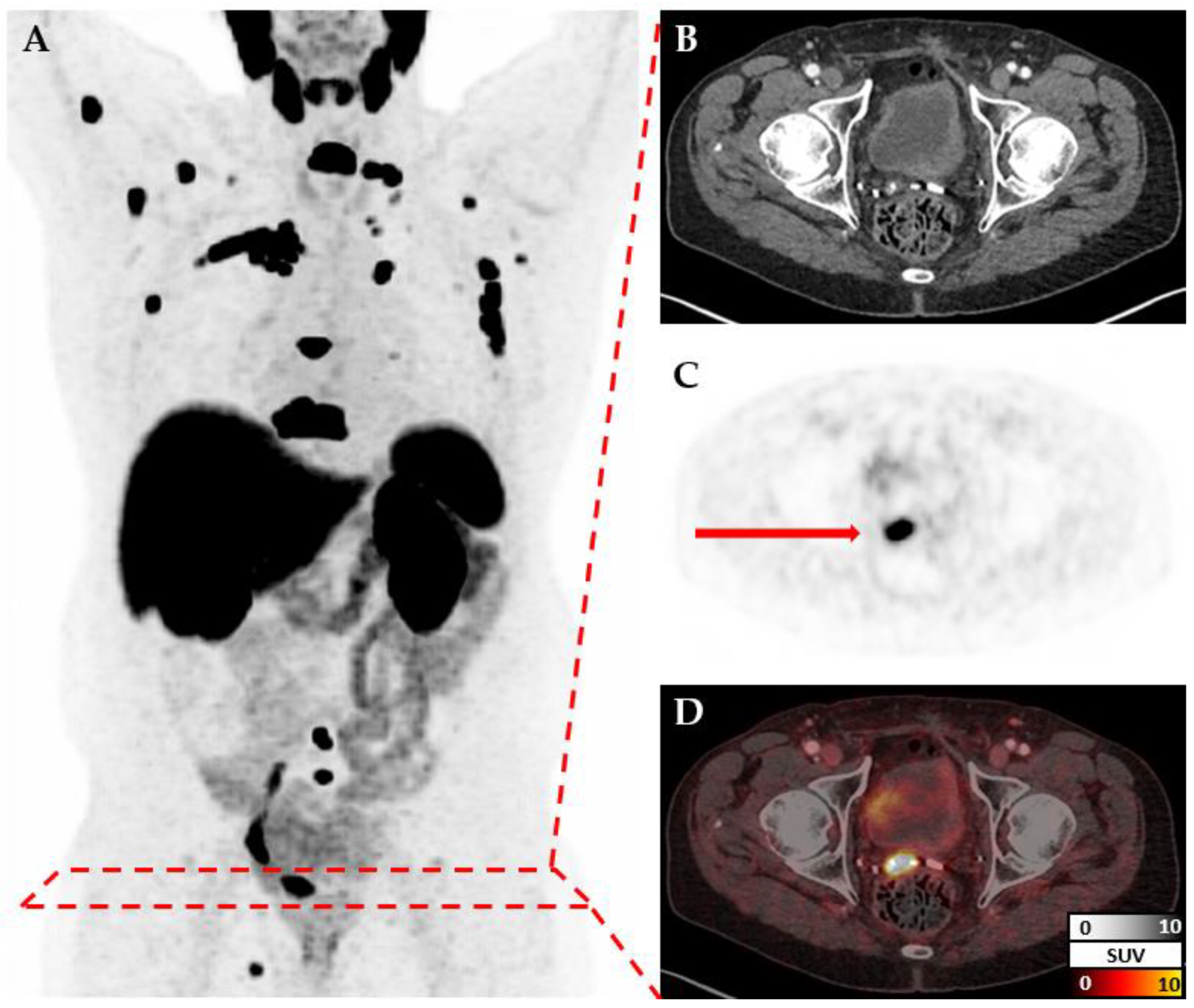 Preprints 150947 g001