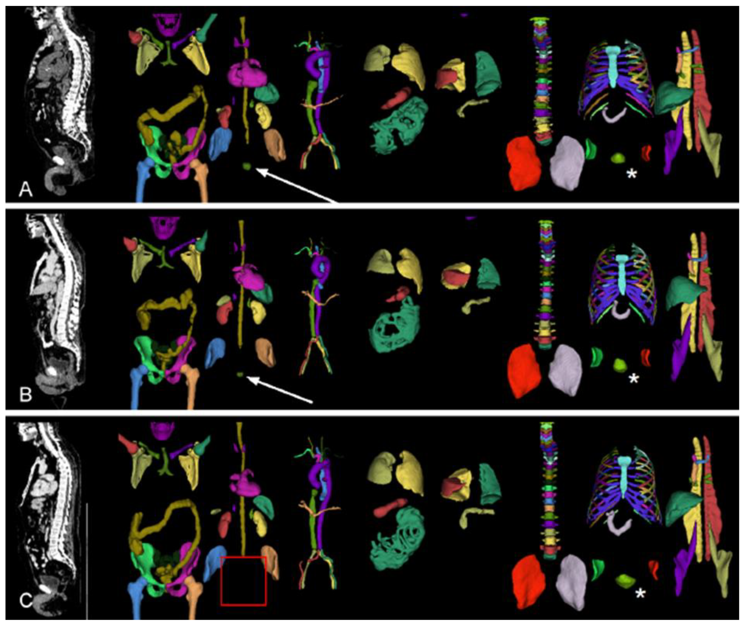 Preprints 150947 g002