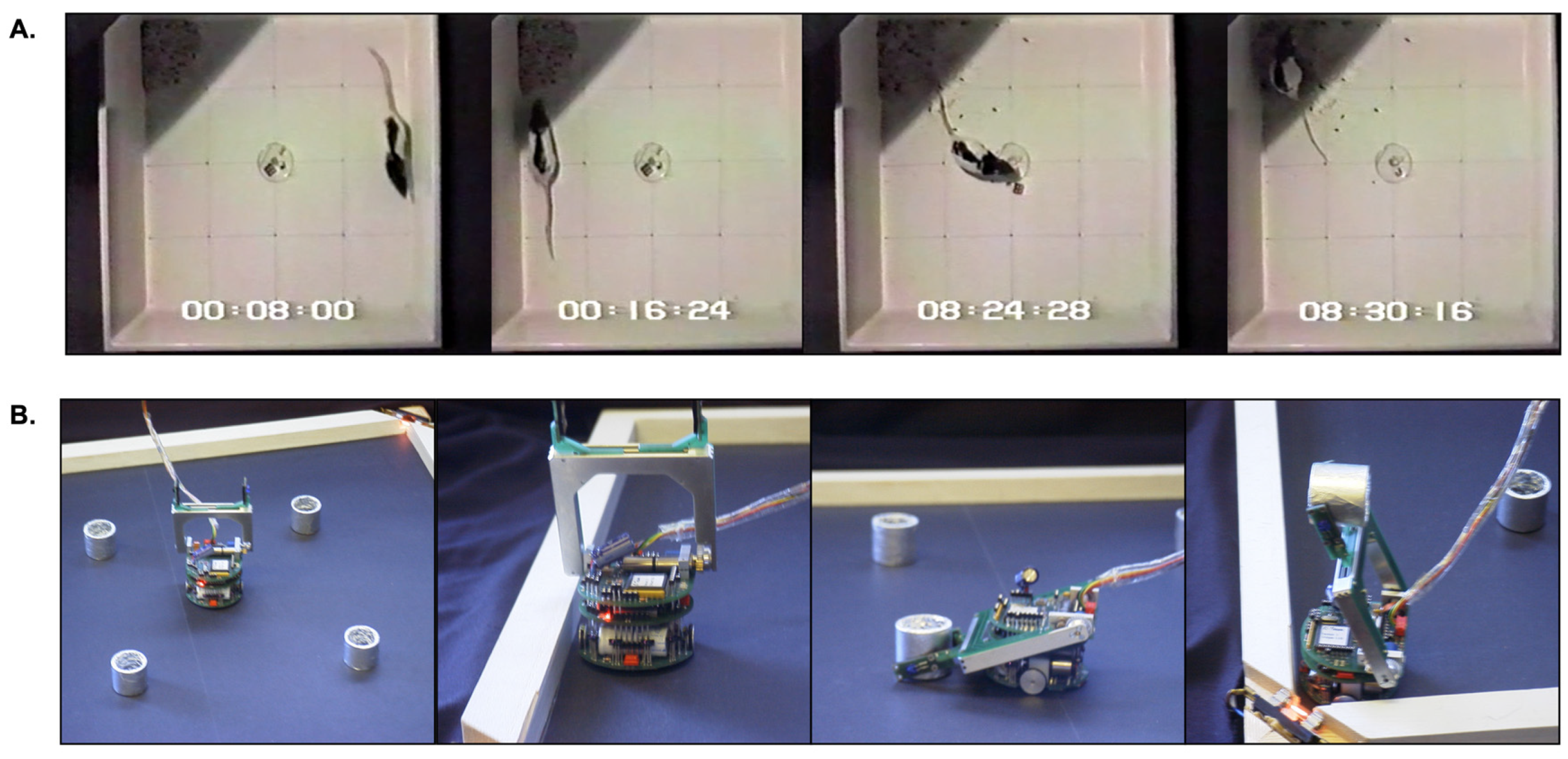 Preprints 95719 g002