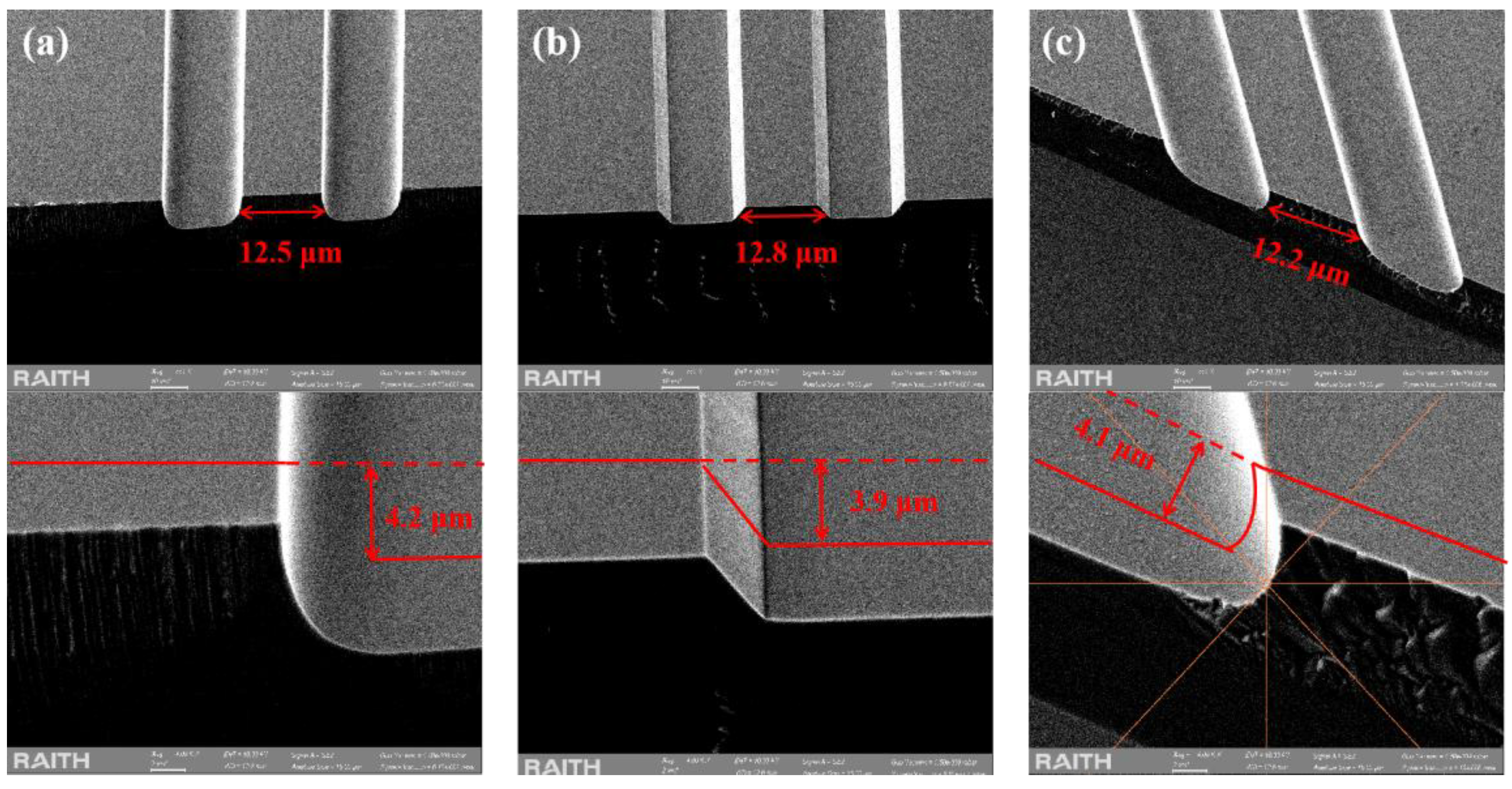 Preprints 151038 g005
