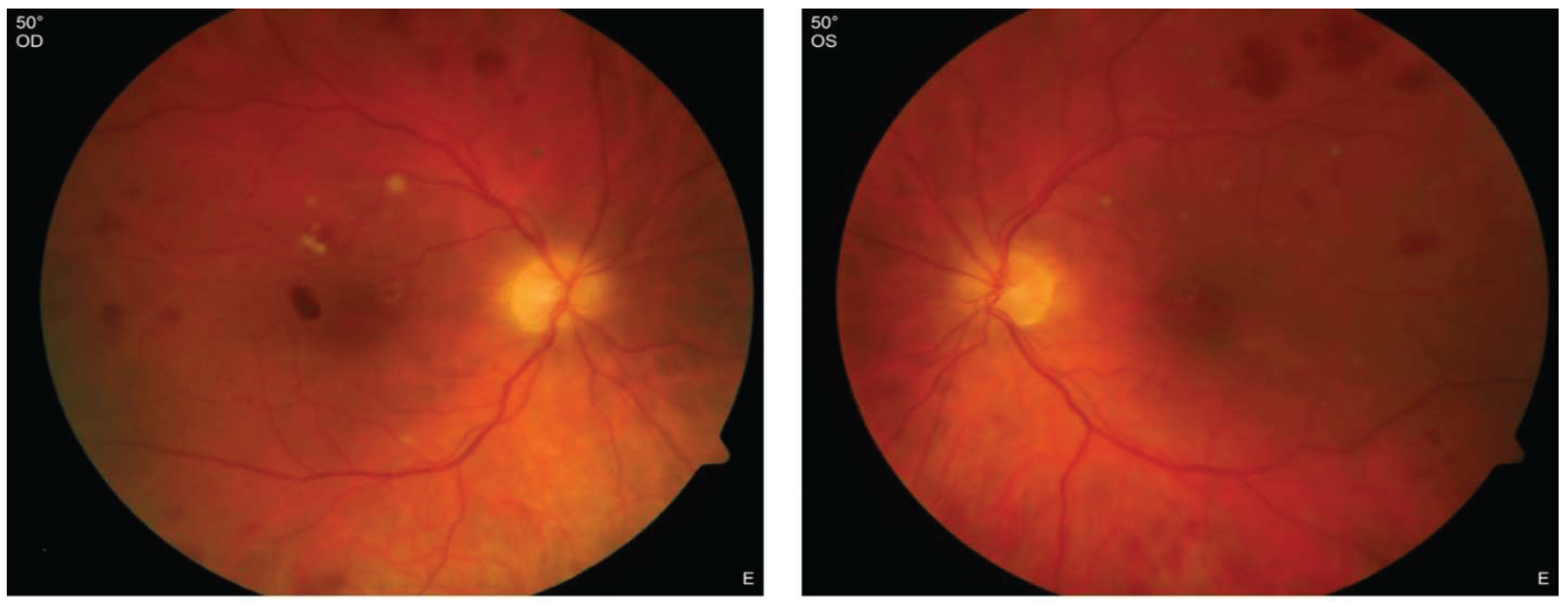 Preprints 160952 g001