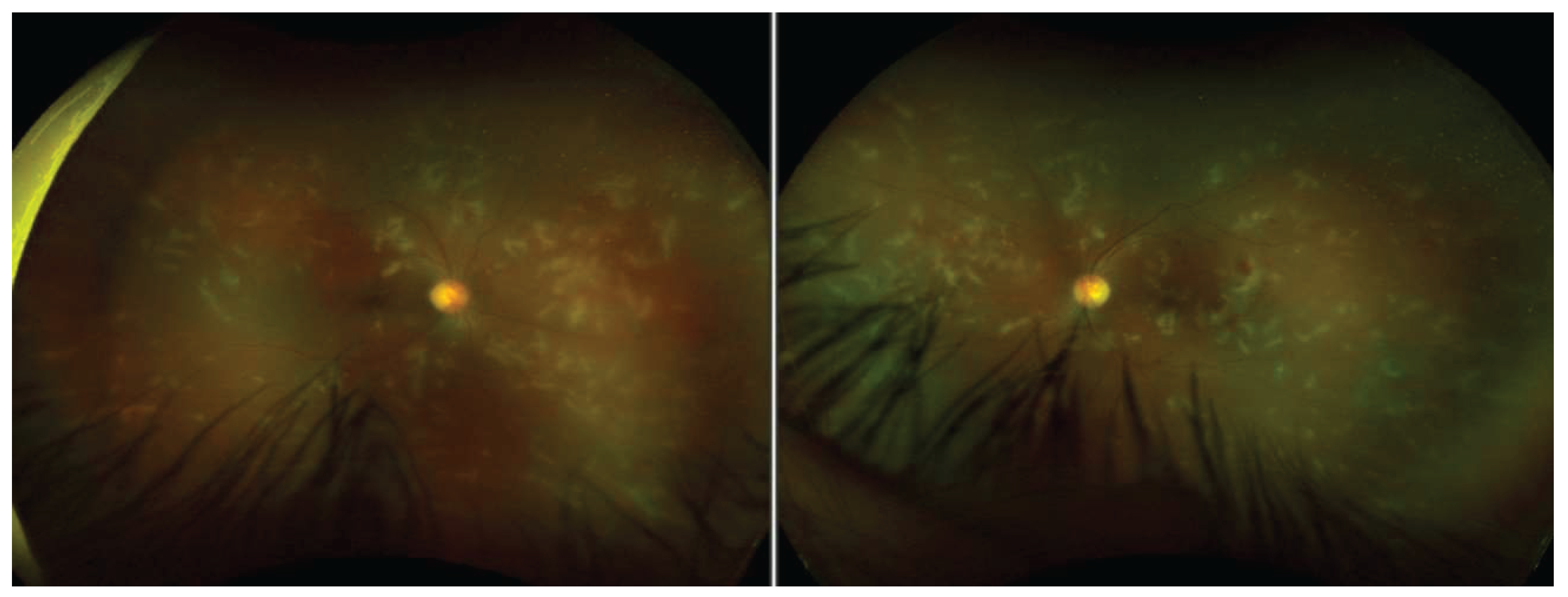 Preprints 160952 g002