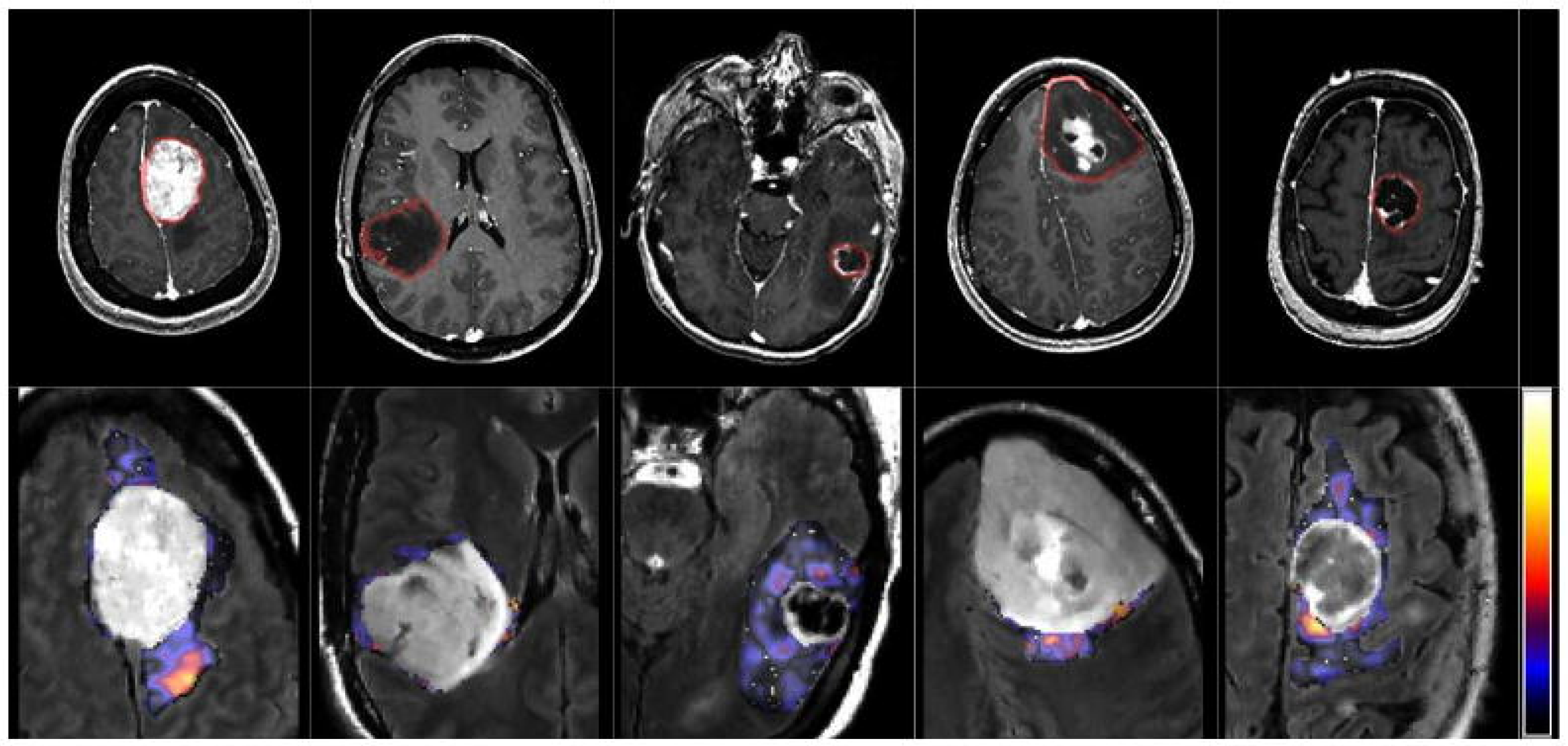 Preprints 145755 g002
