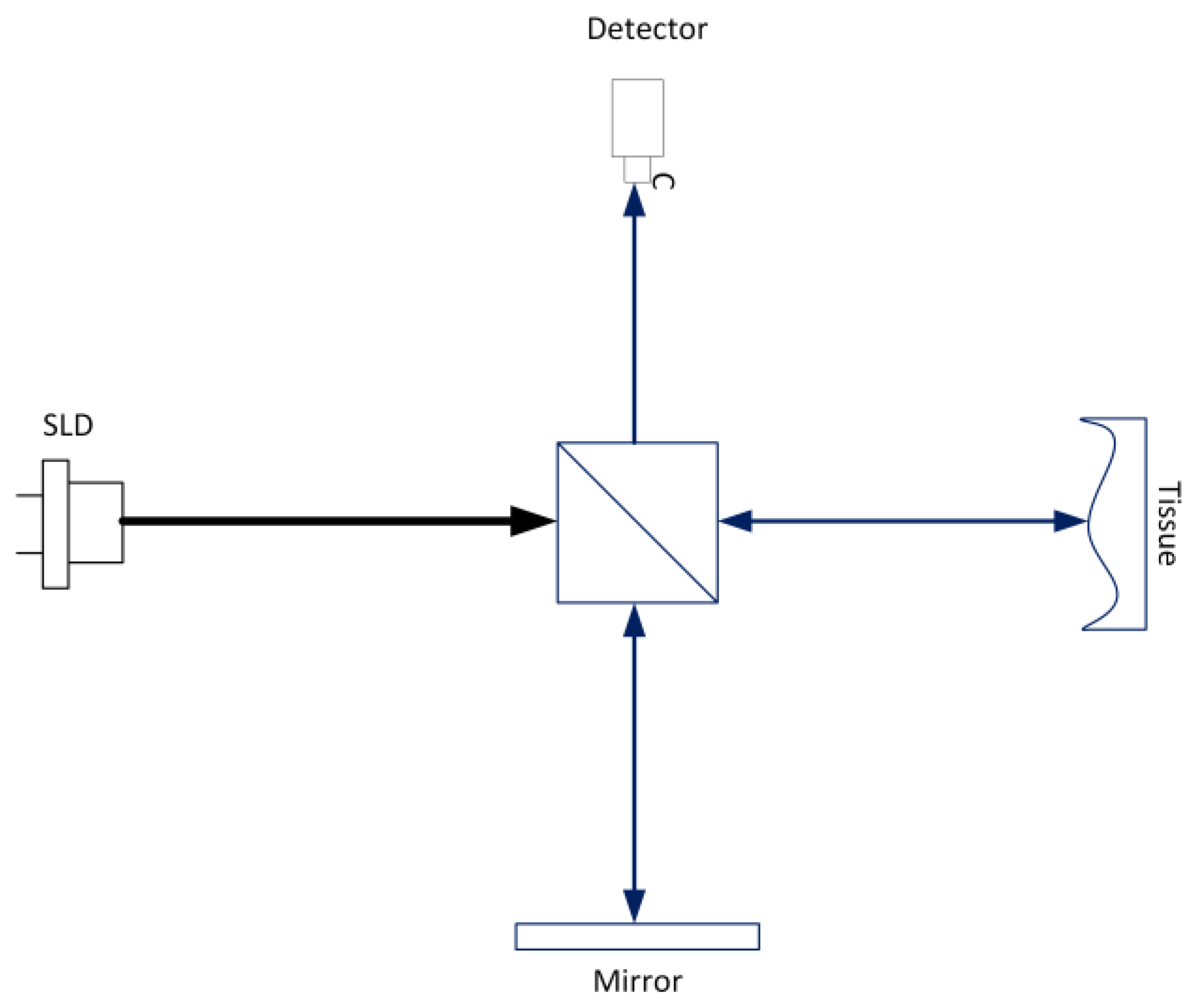 Preprints 141584 g001