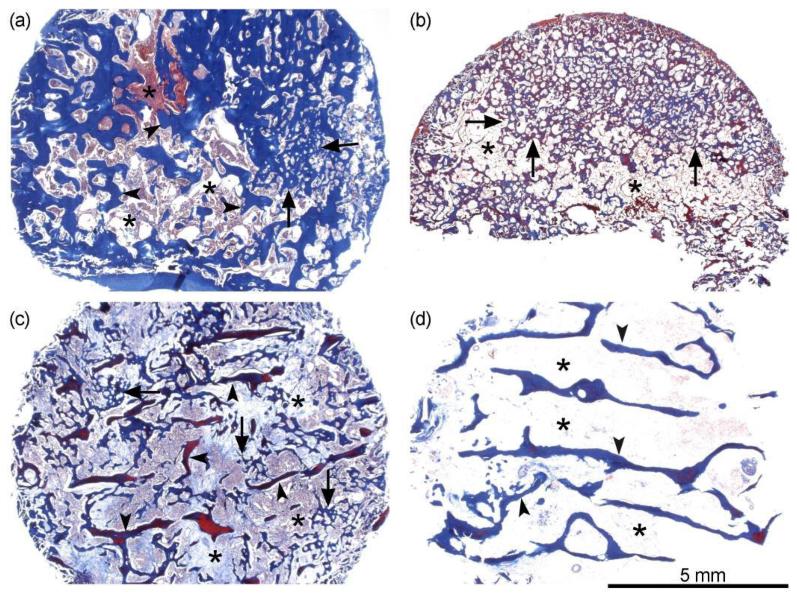 Preprints 141584 g004