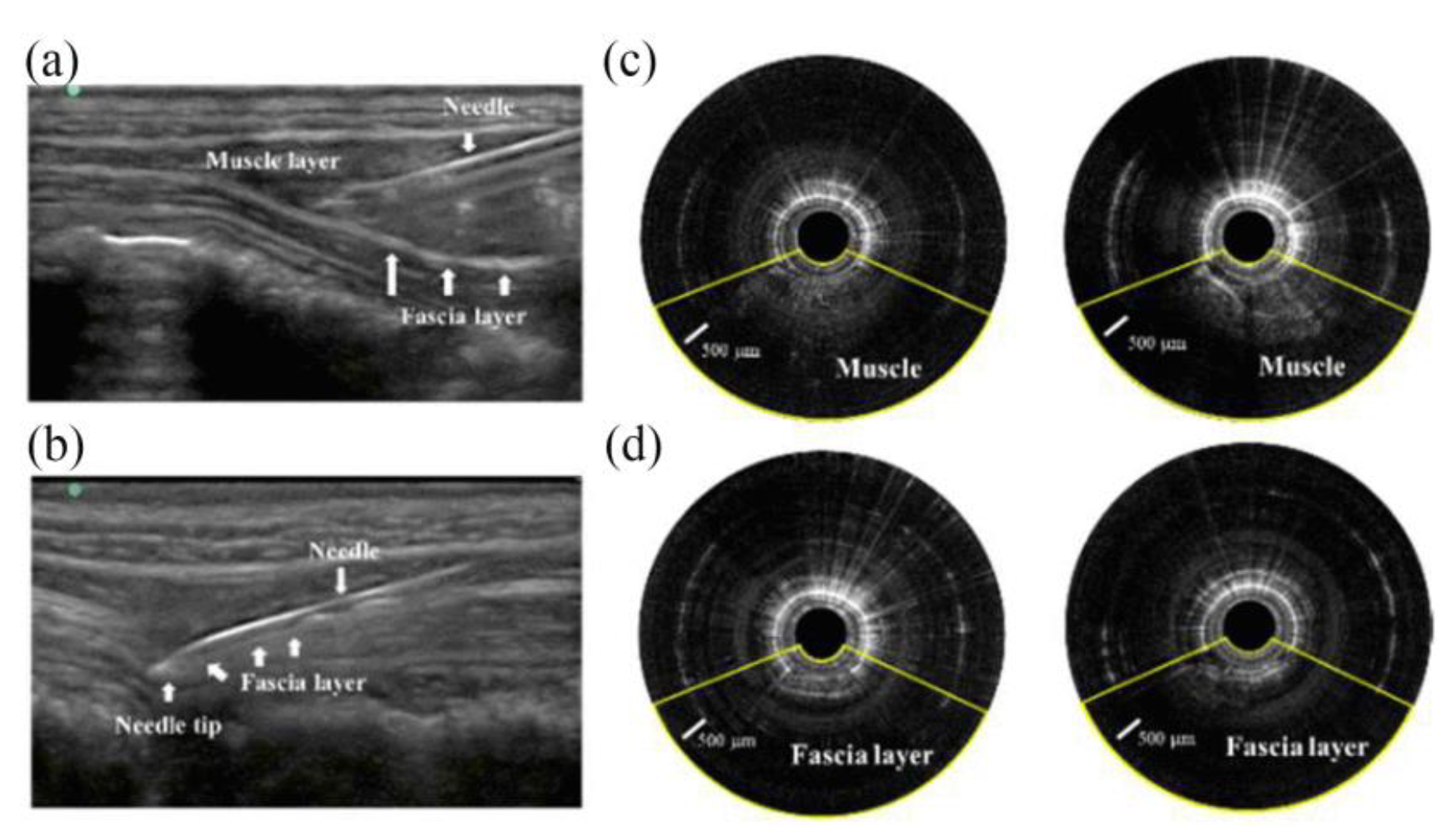 Preprints 141584 g006