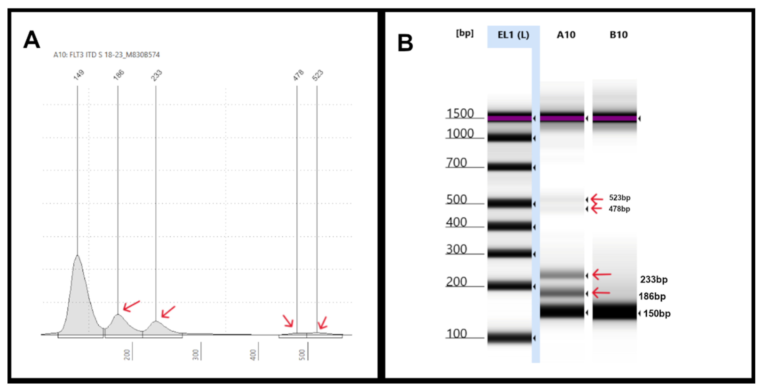 Preprints 158343 g004
