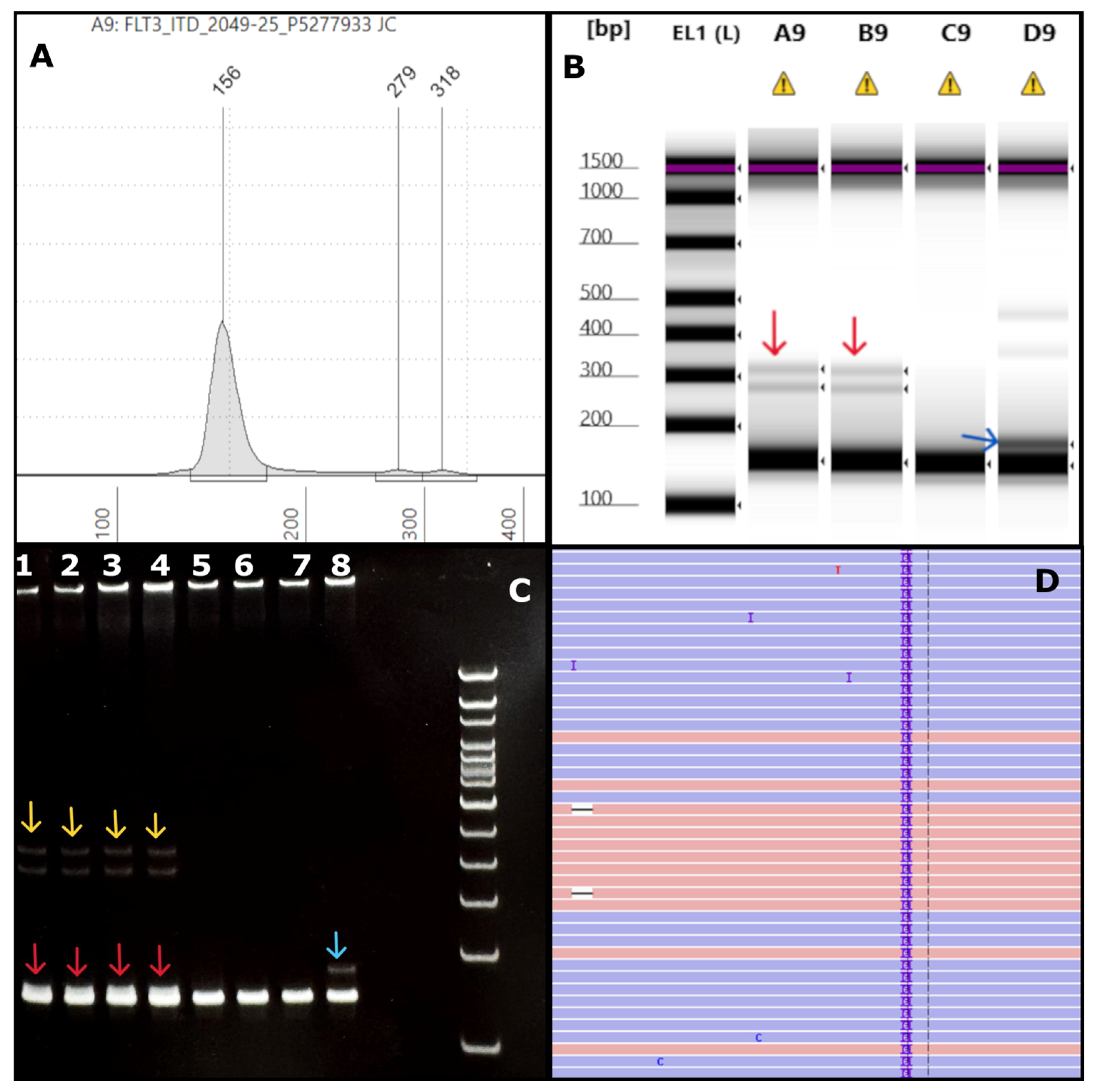 Preprints 158343 g006