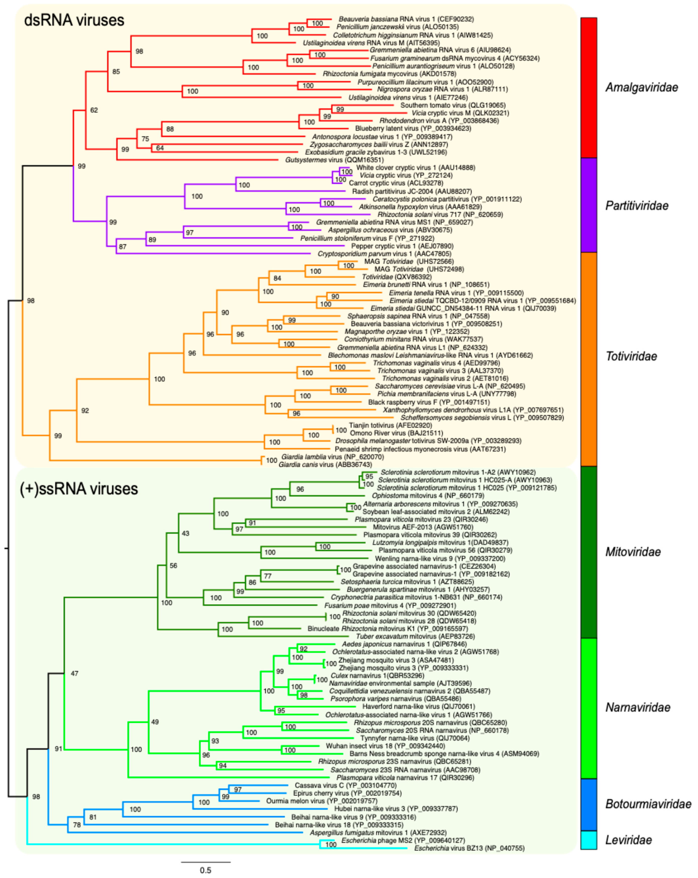 Preprints 154770 g002