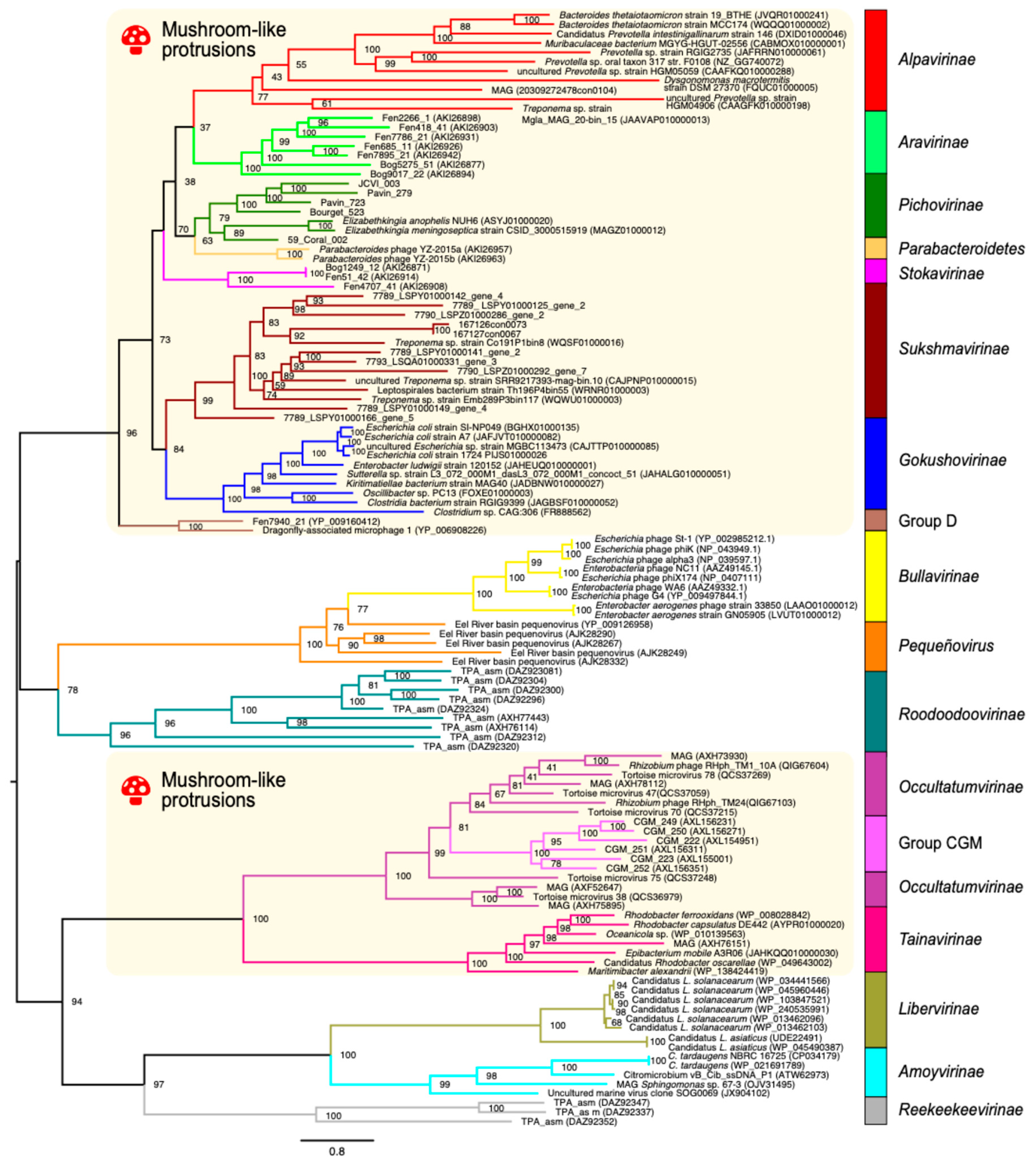 Preprints 154770 g005