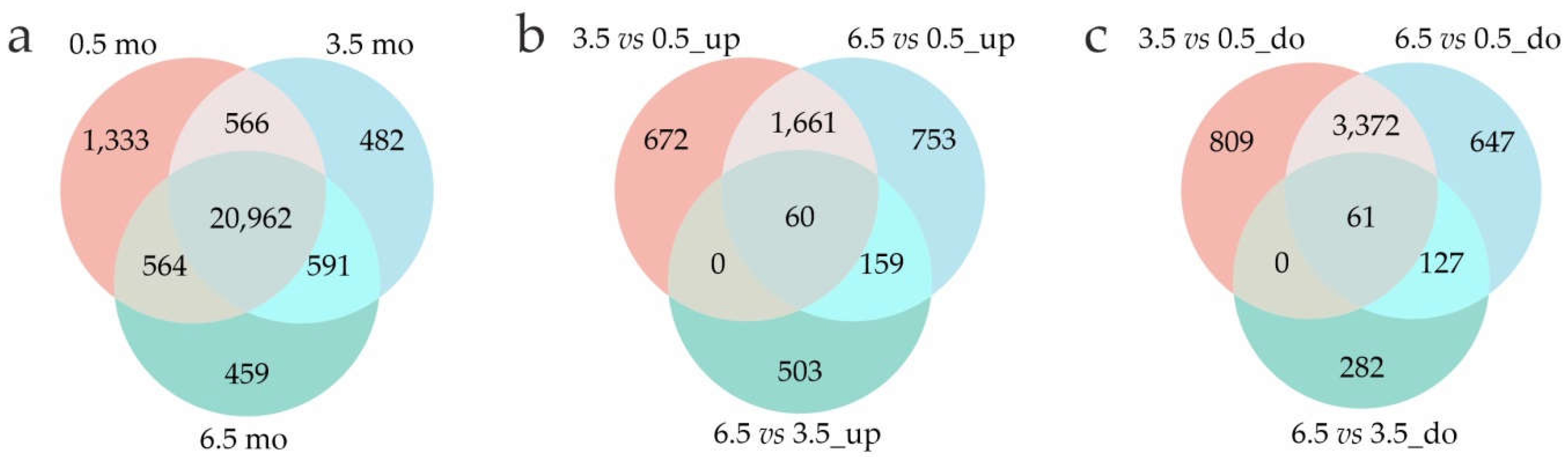 Preprints 194995 g001