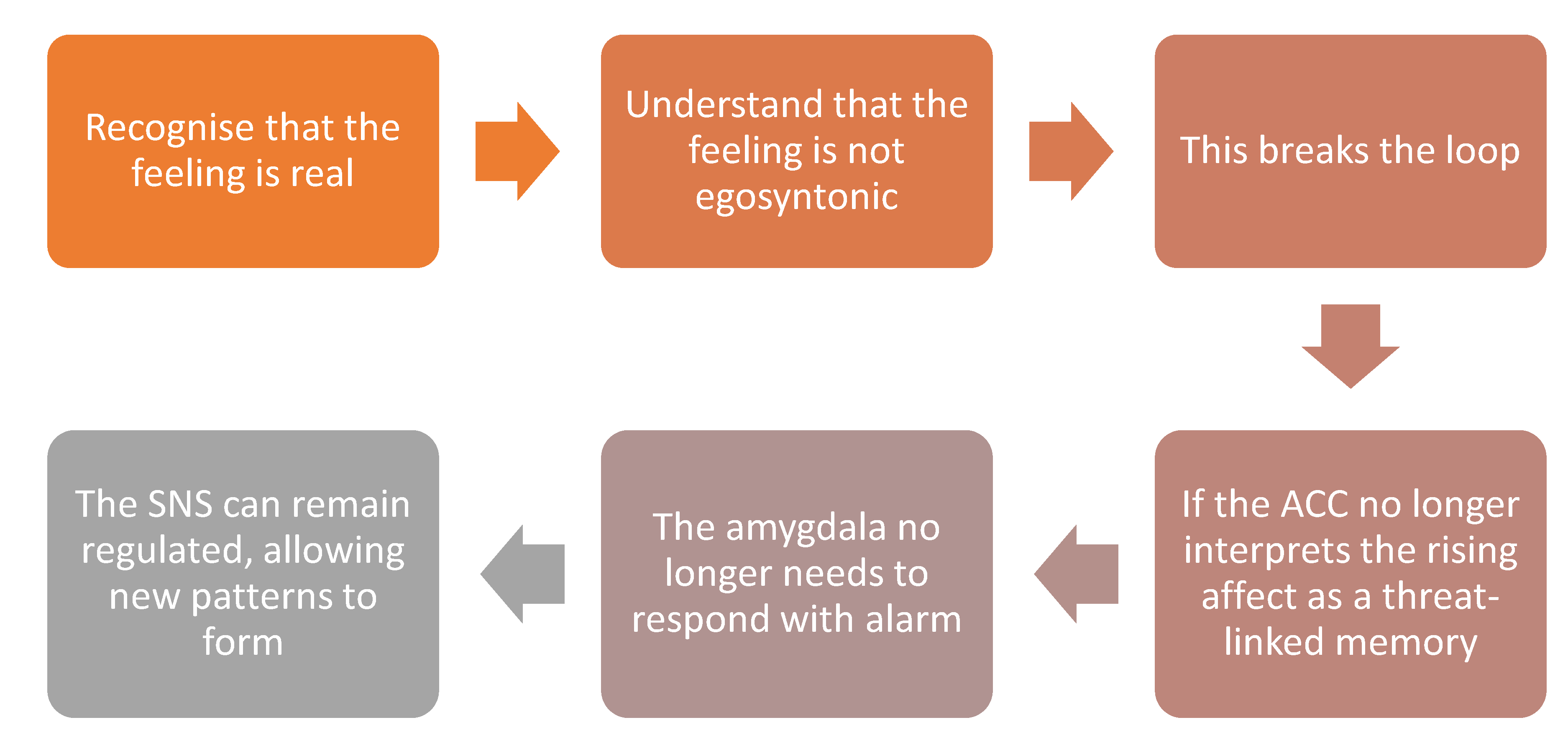 Preprints 190299 g001
