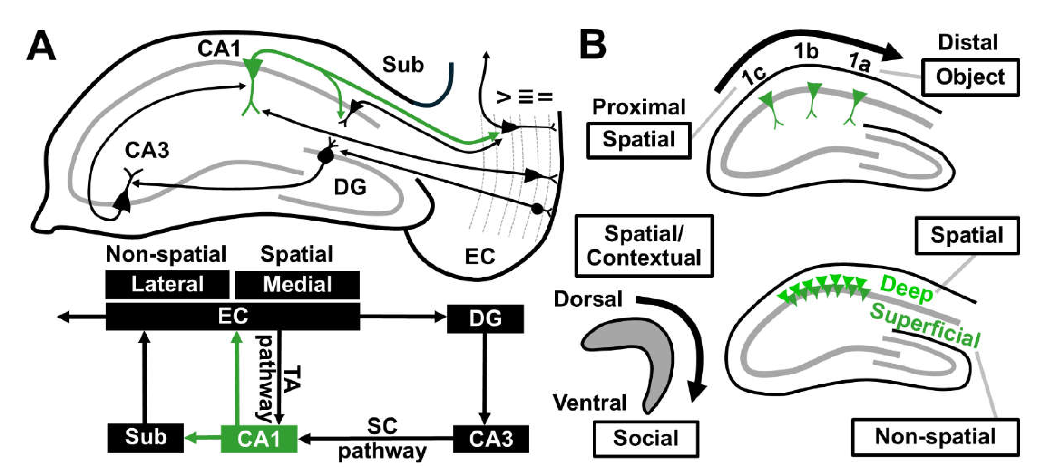 Preprints 151971 g001