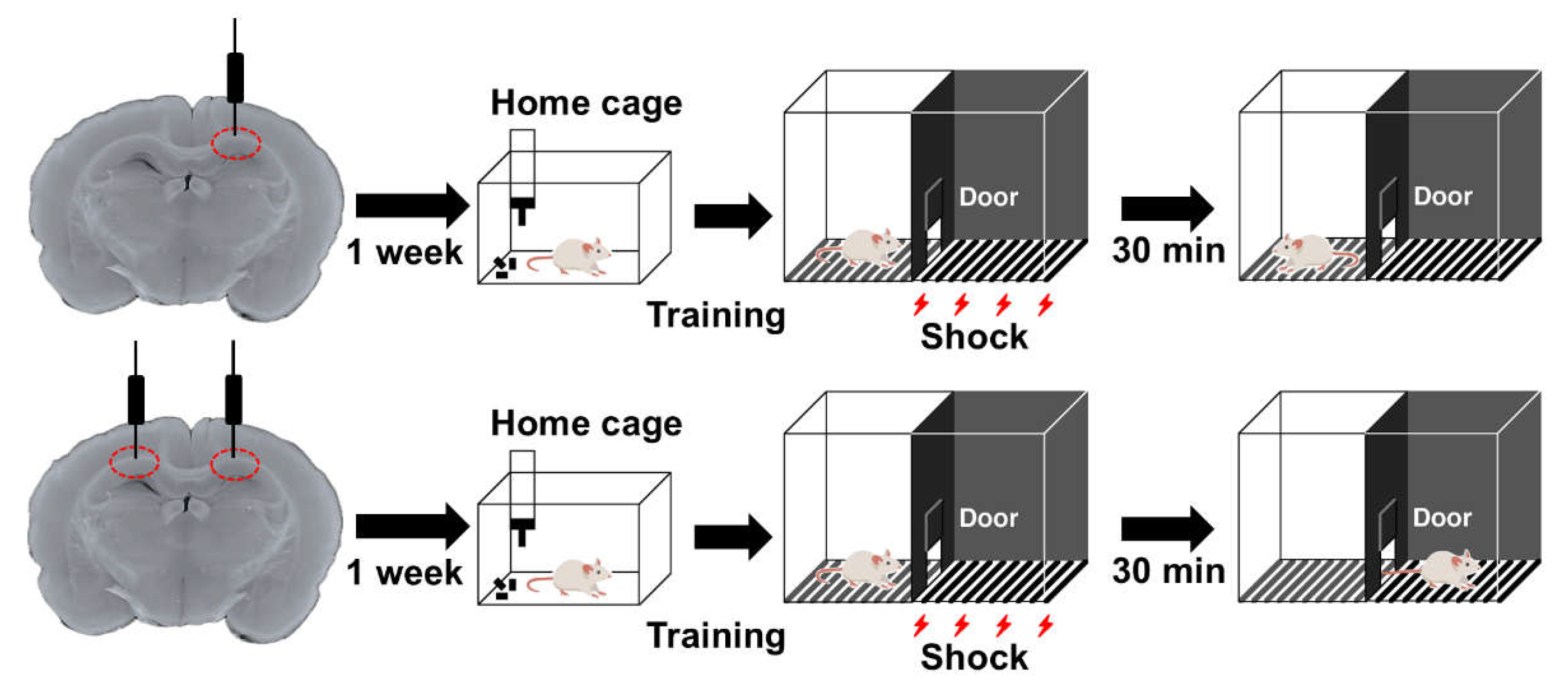 Preprints 151971 g003