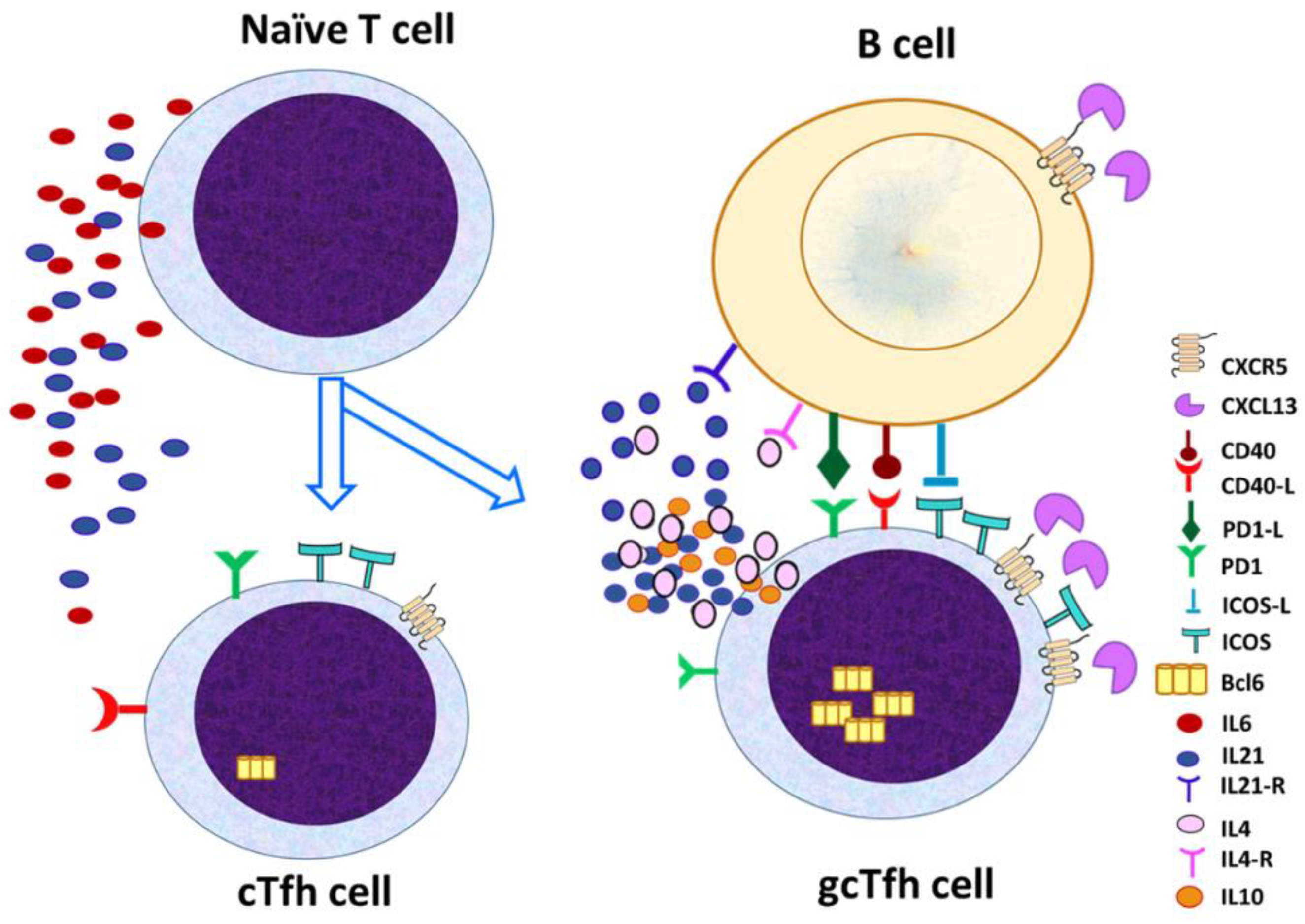 Preprints 152740 g002
