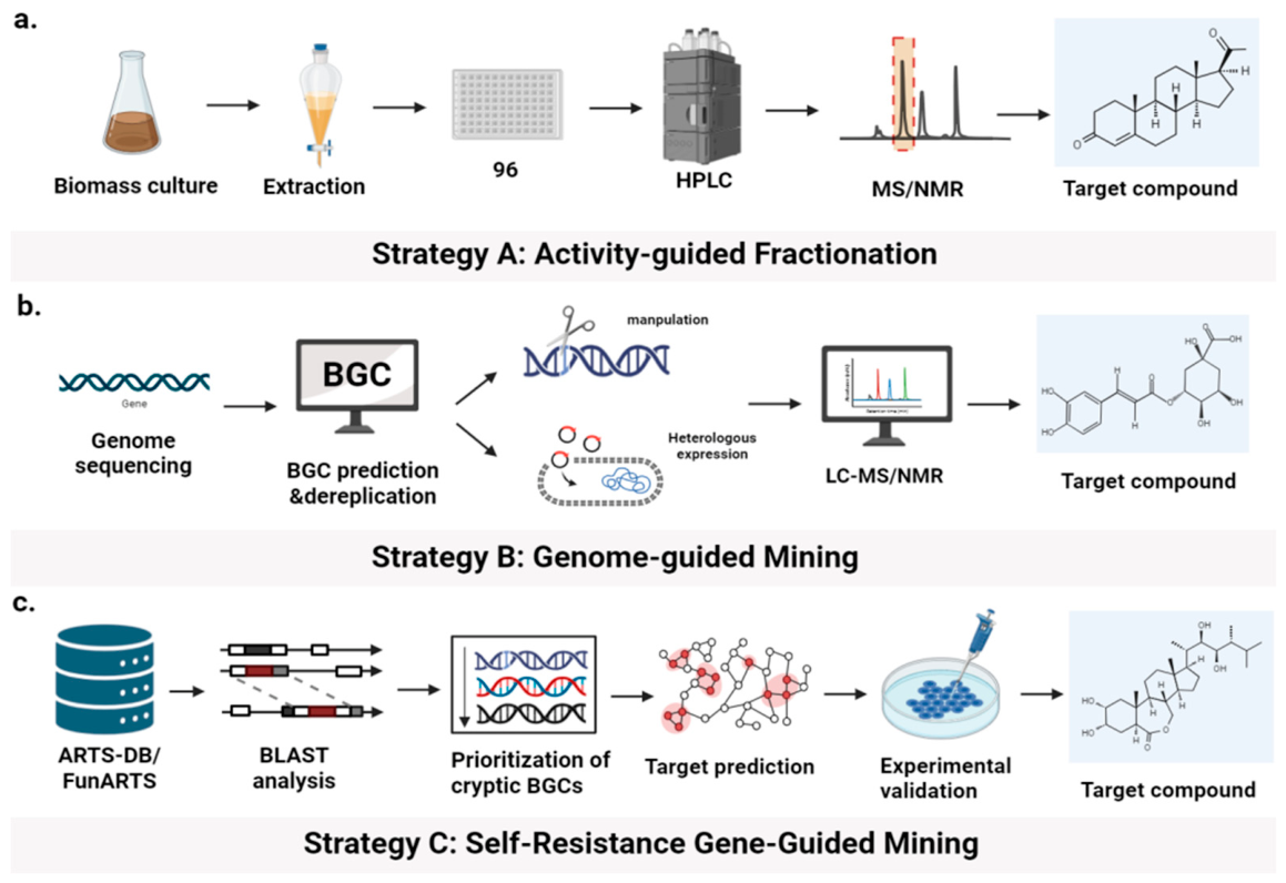 Preprints 224243 g001