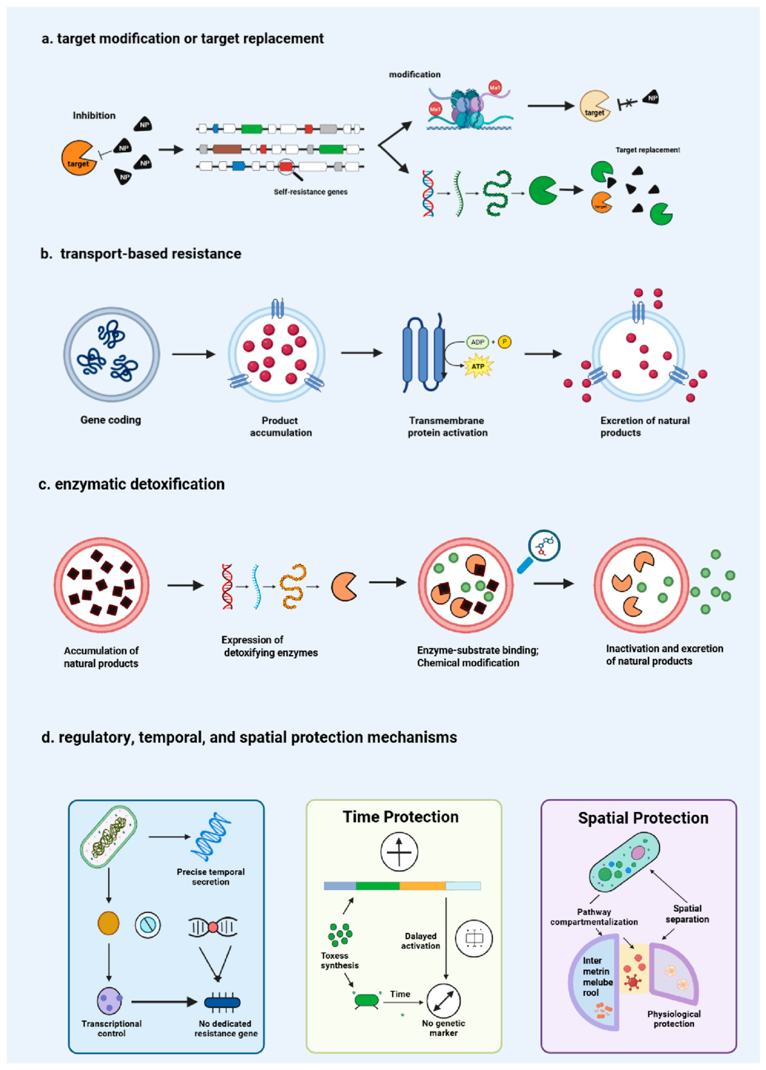 Preprints 224243 g002