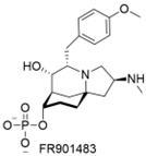 Preprints 224243 i017