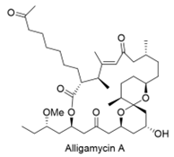 Preprints 224243 i020