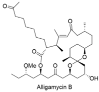 Preprints 224243 i021
