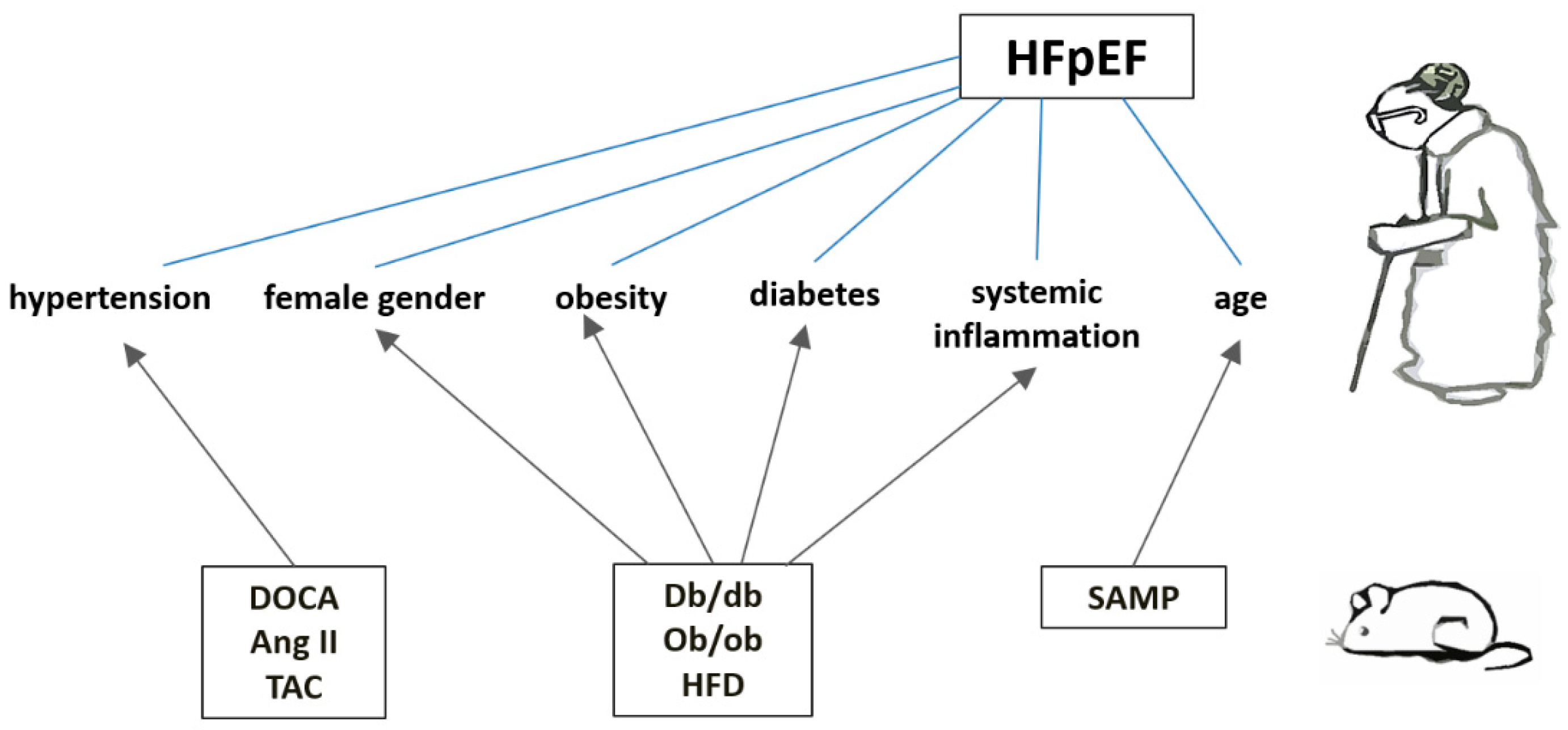 Preprints 147857 g001