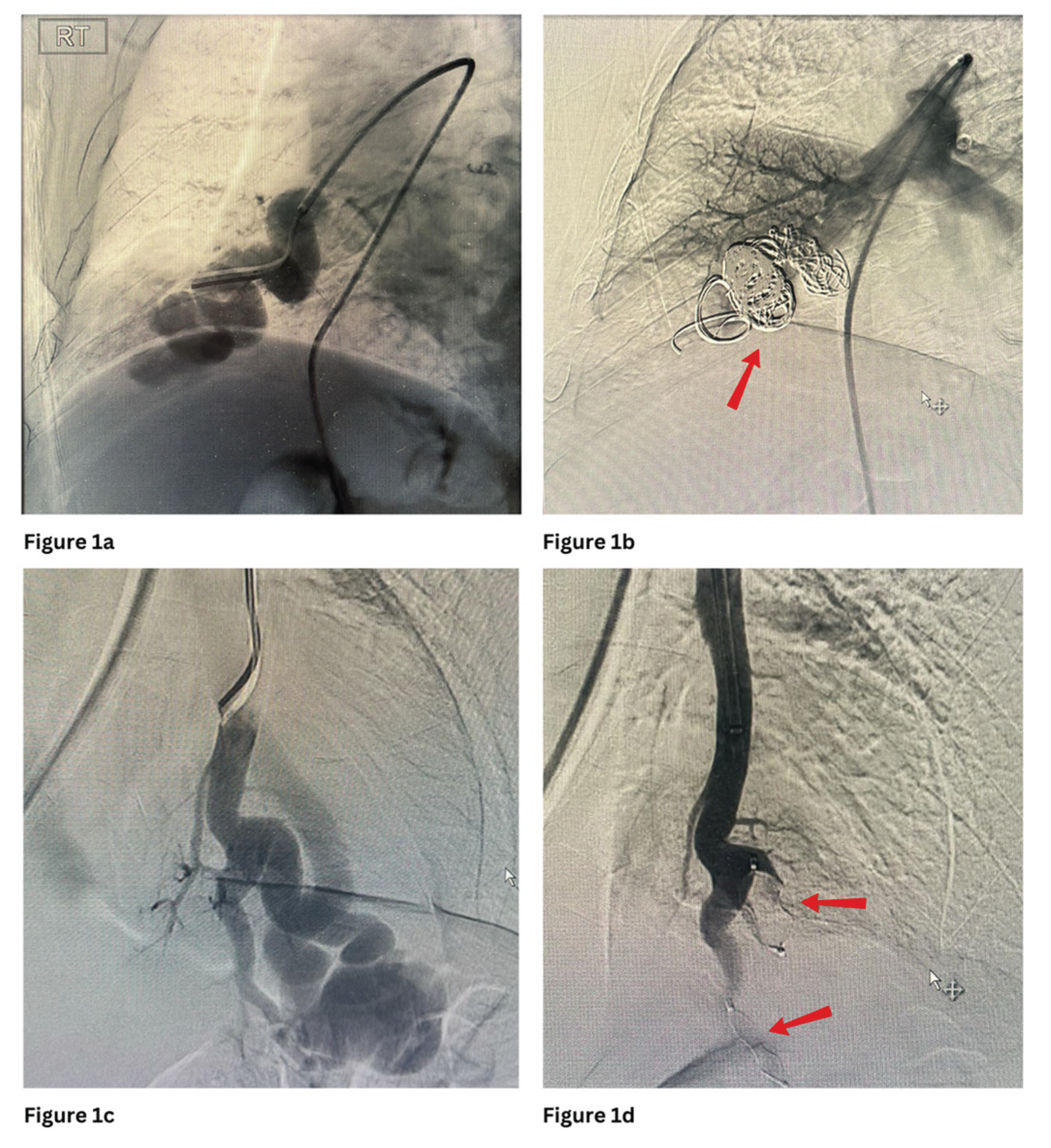 Preprints 184421 g001