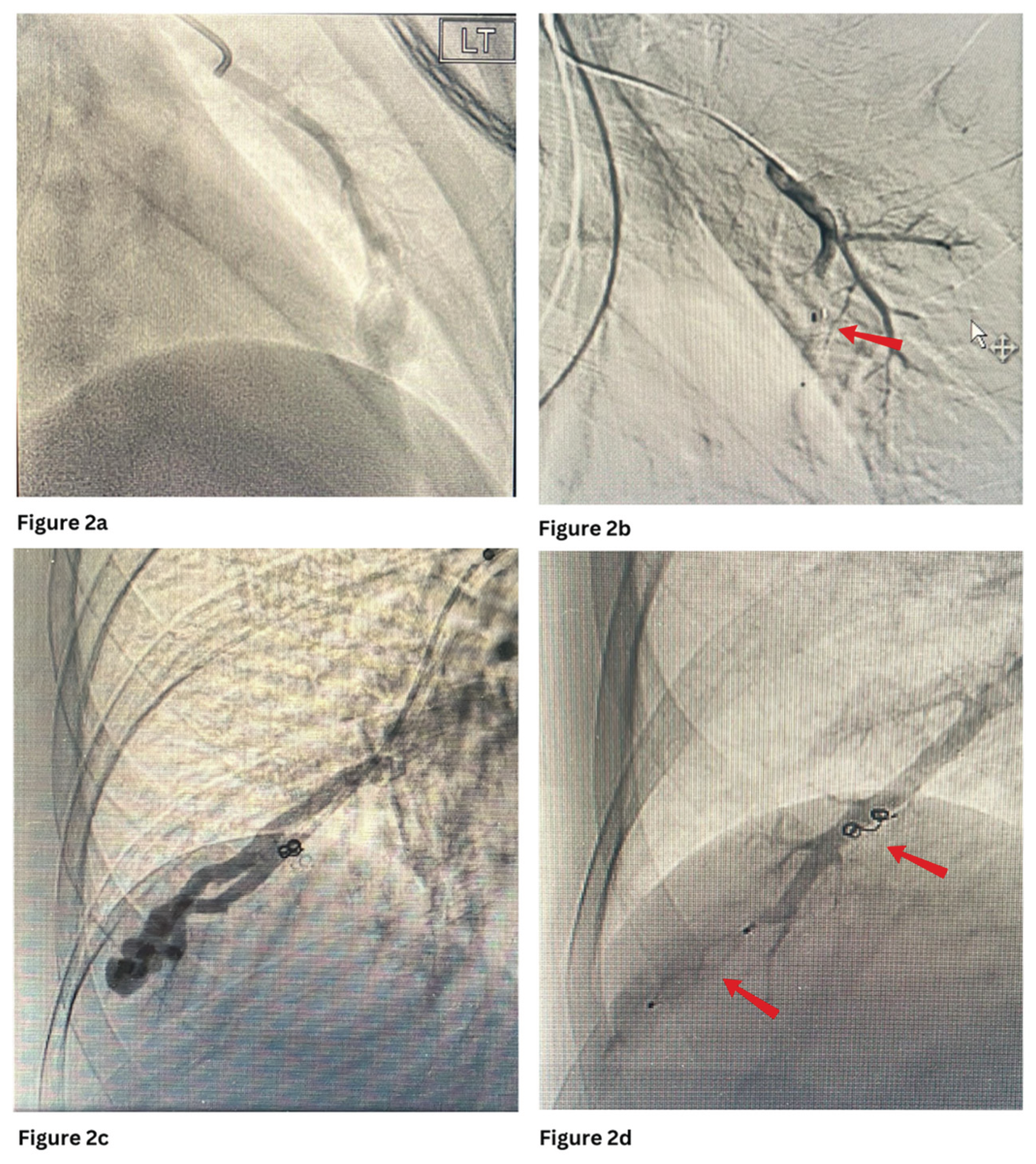 Preprints 184421 g002