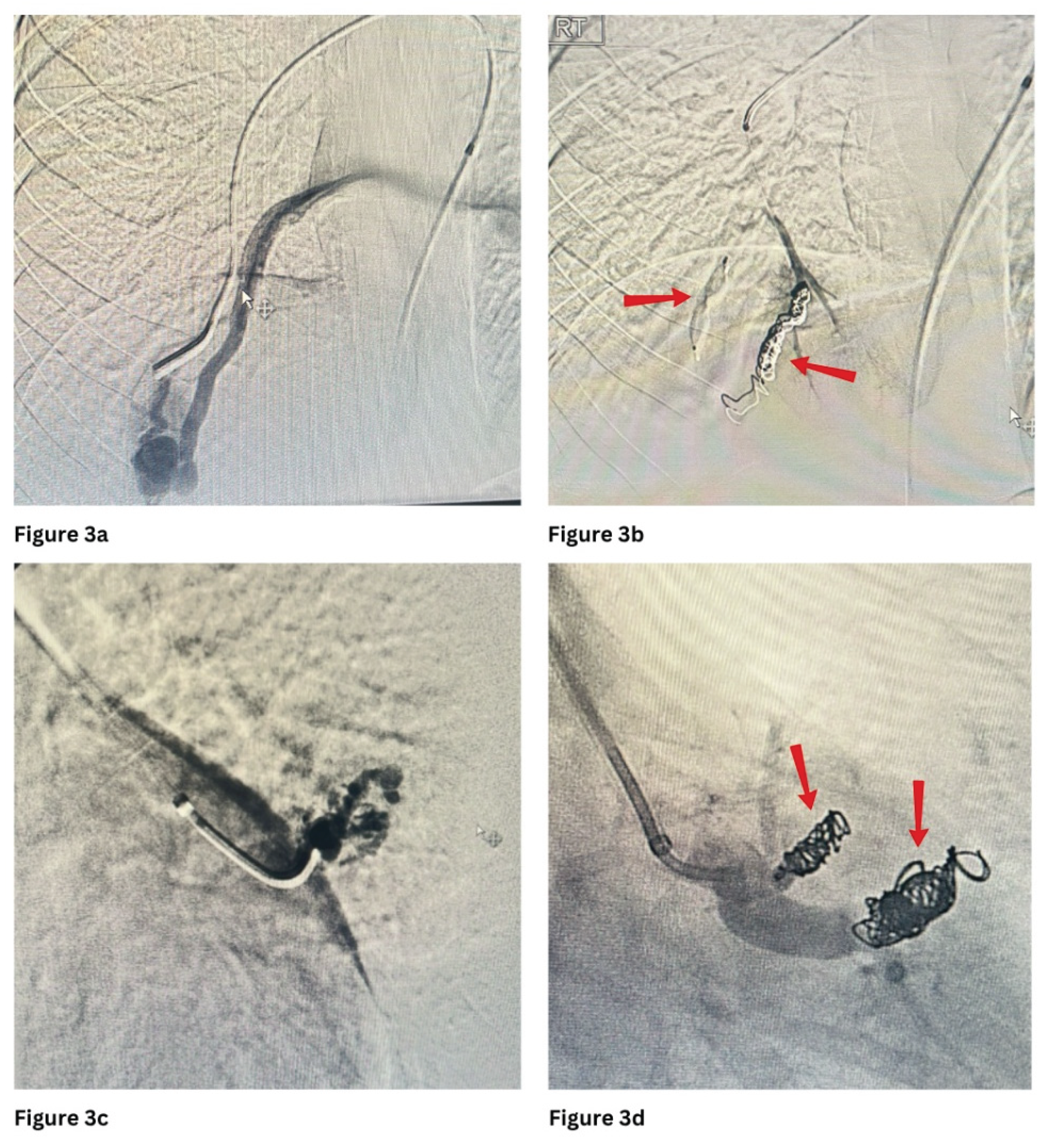 Preprints 184421 g003