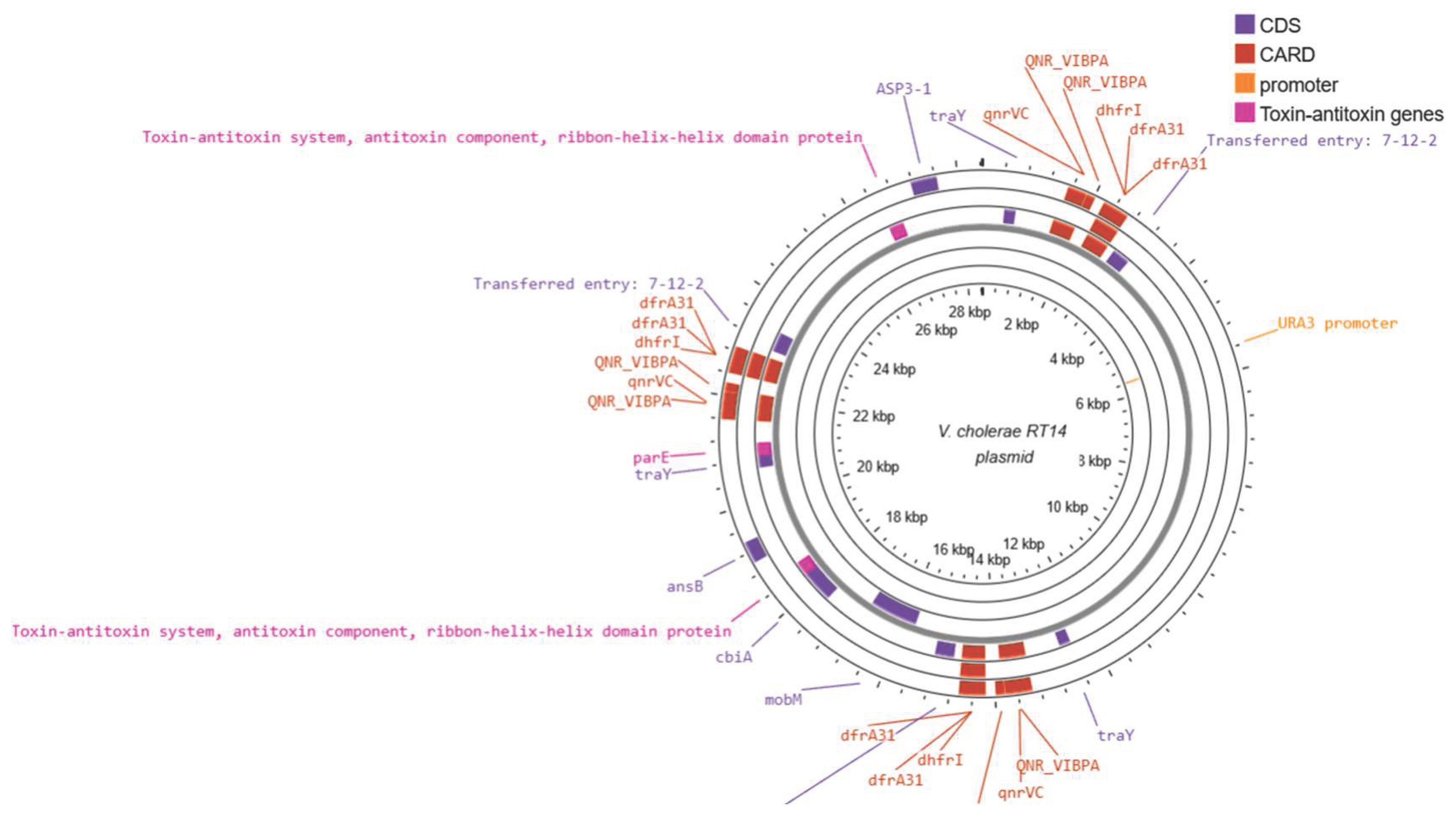 Preprints 210511 g002