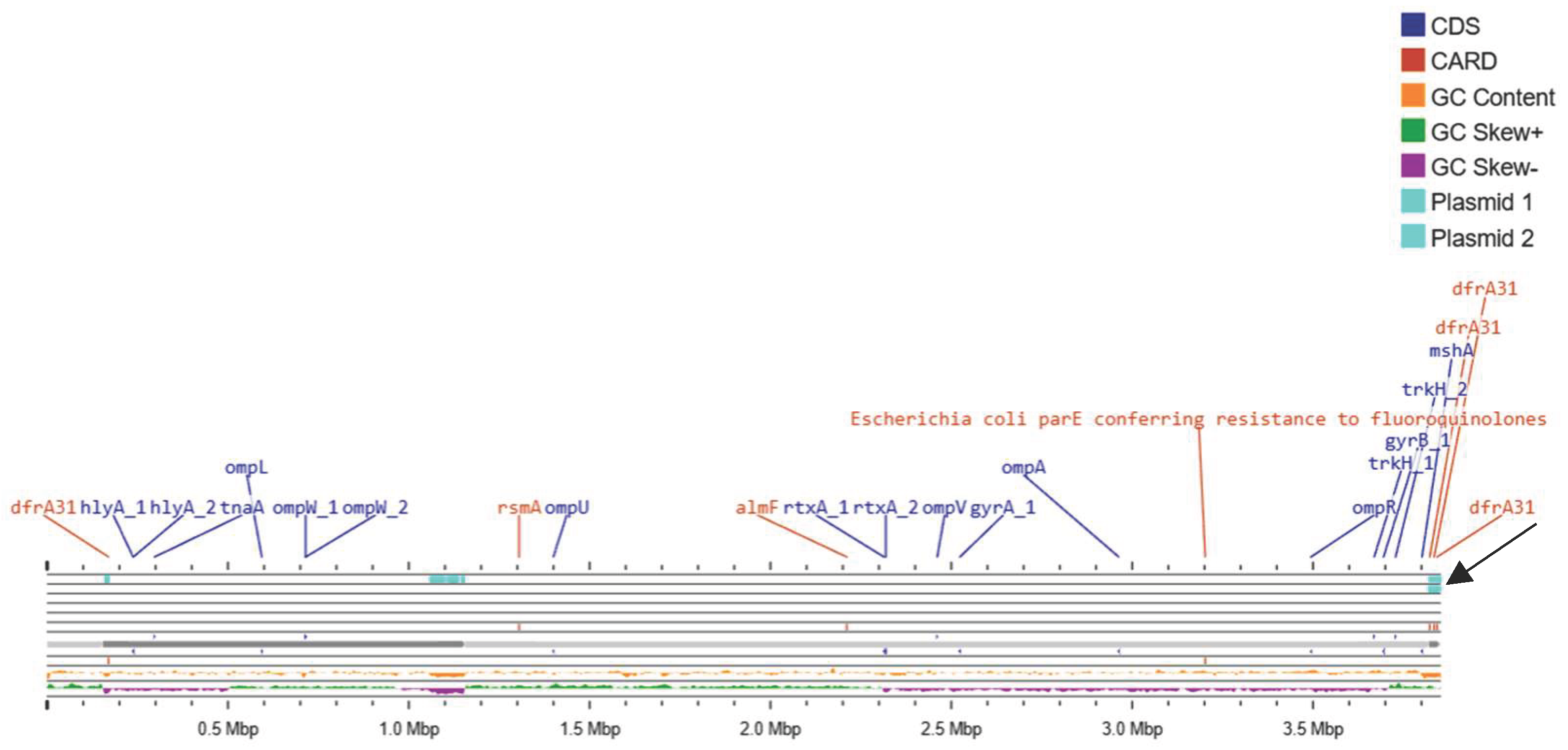 Preprints 210511 g003