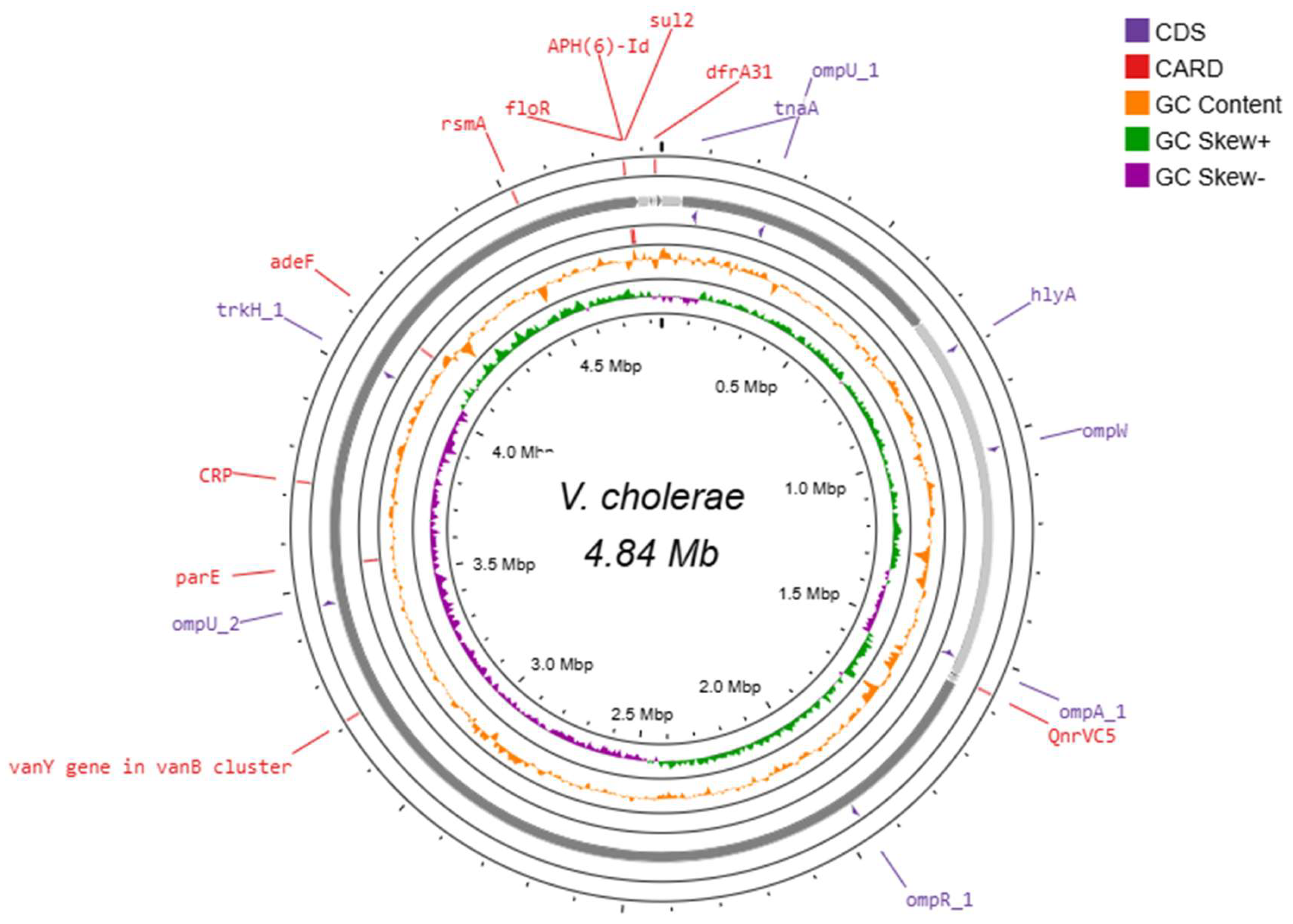 Preprints 210511 g004