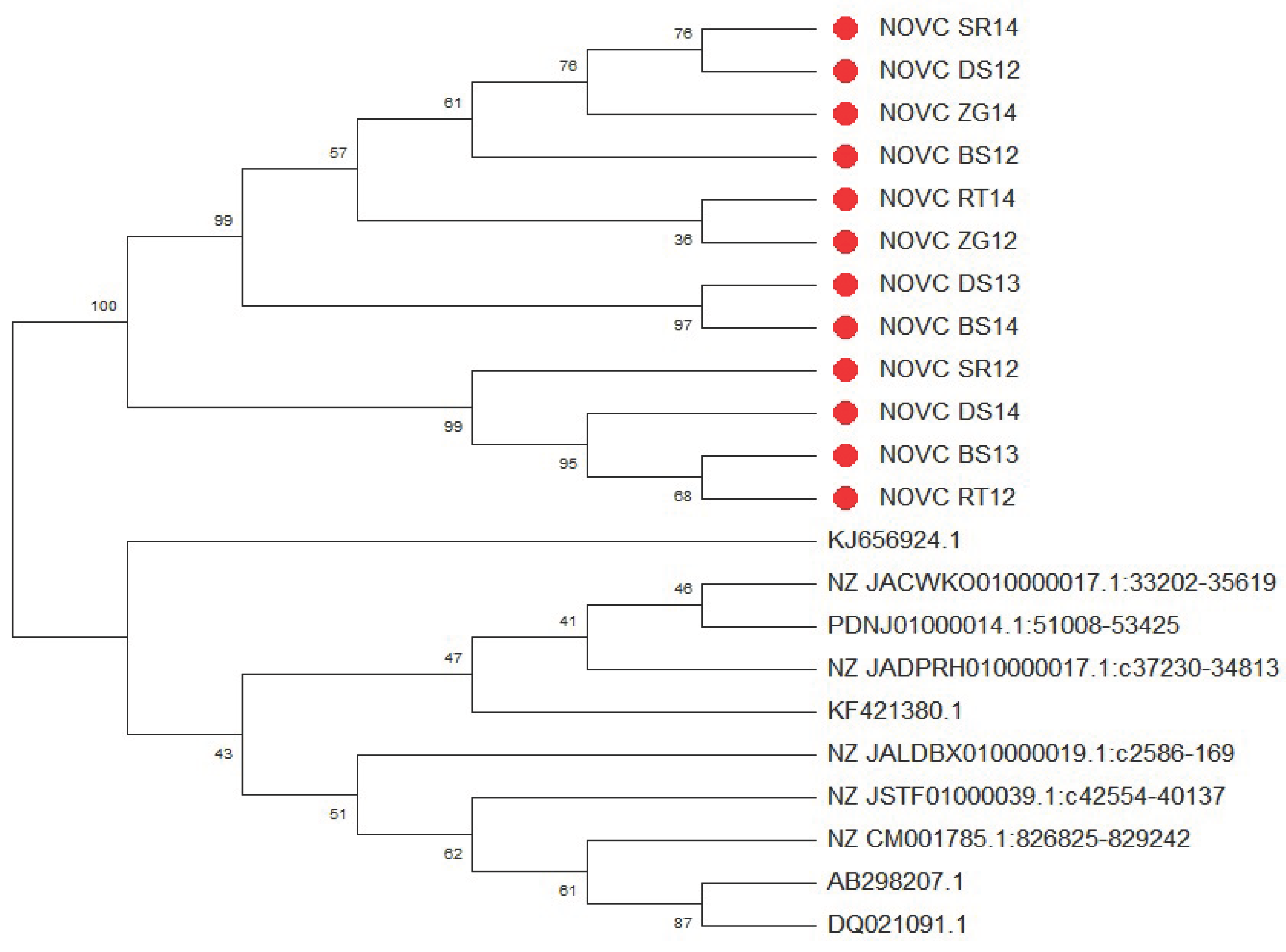 Preprints 210511 g005