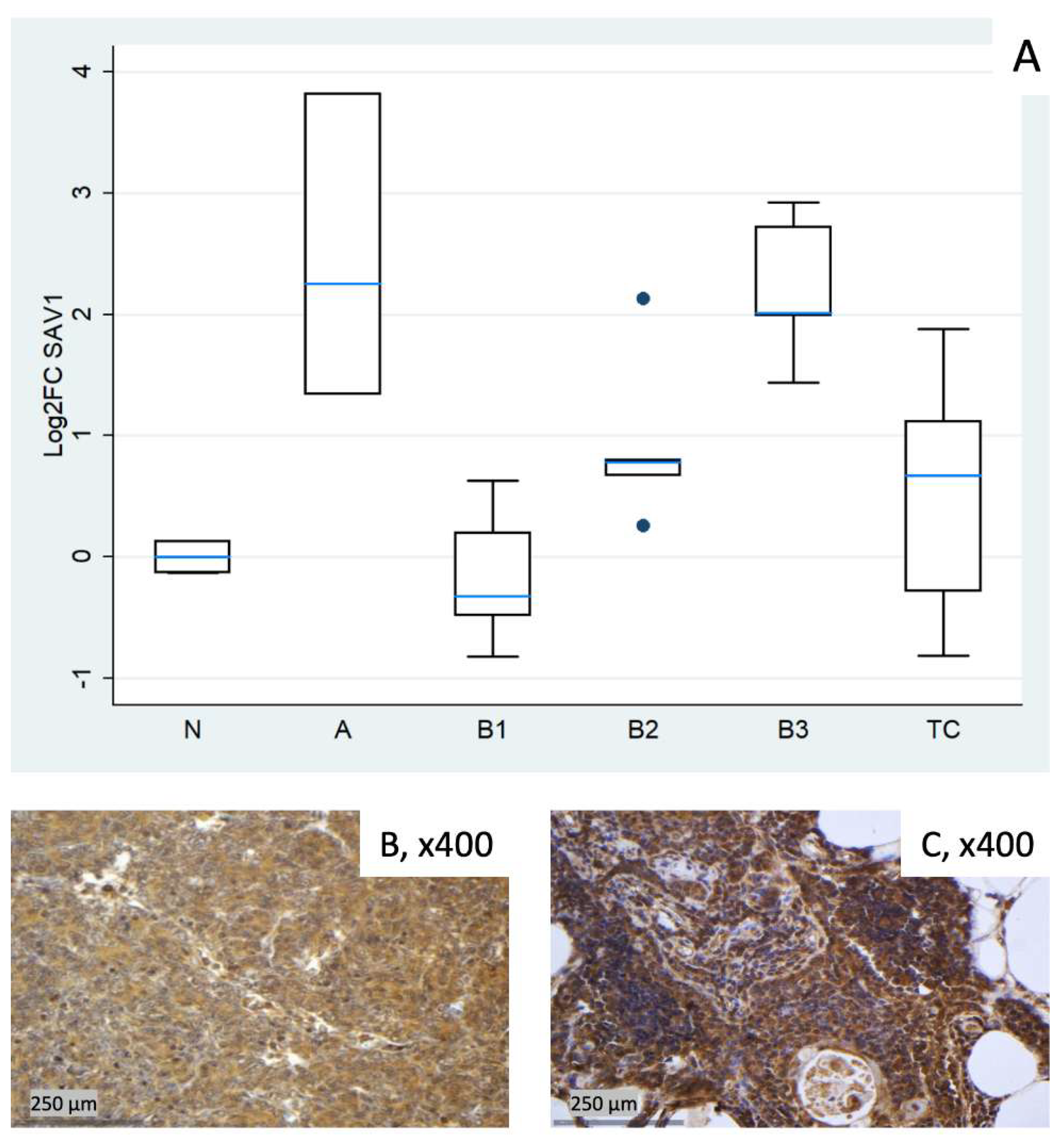 Preprints 190466 g002