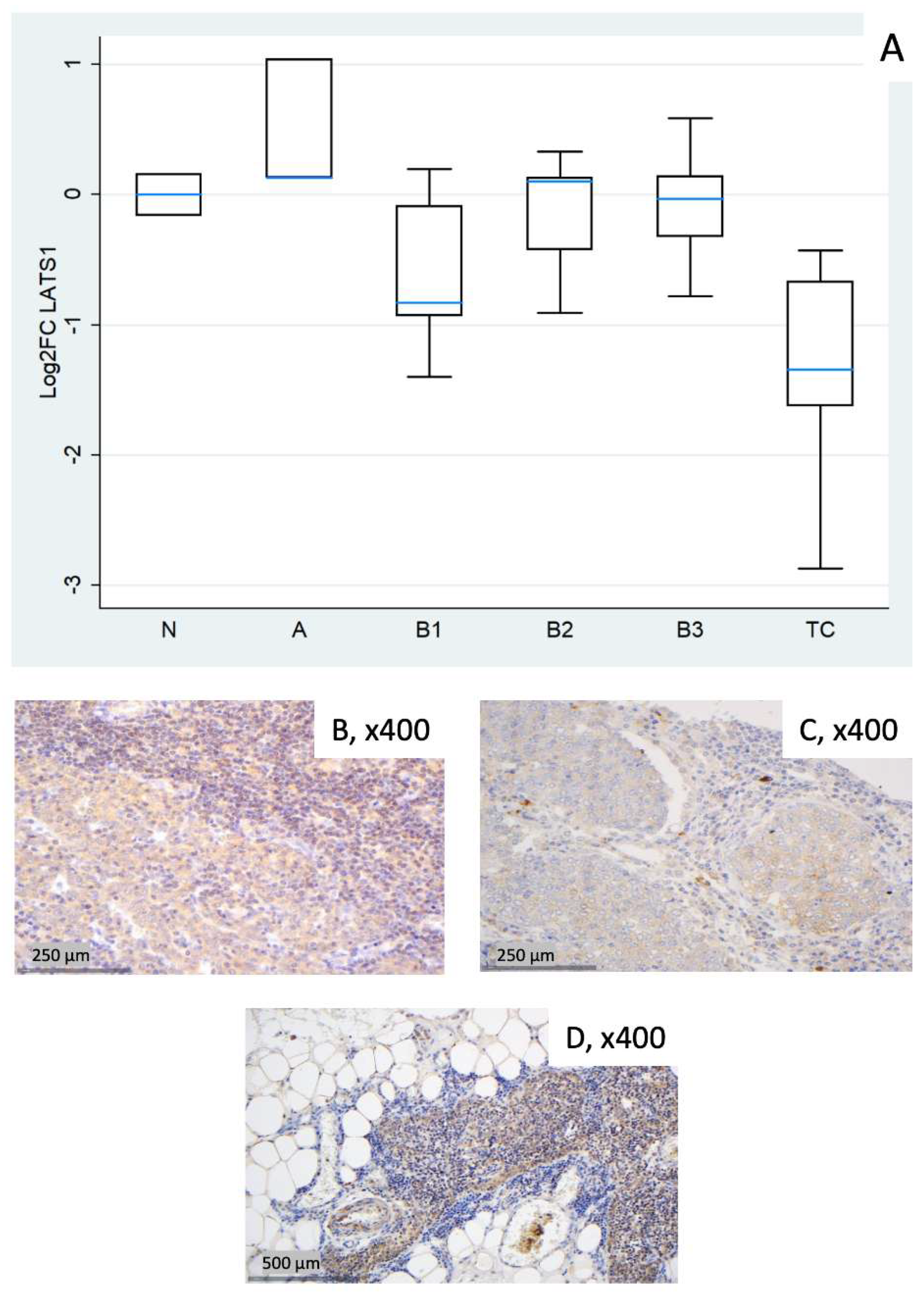 Preprints 190466 g003