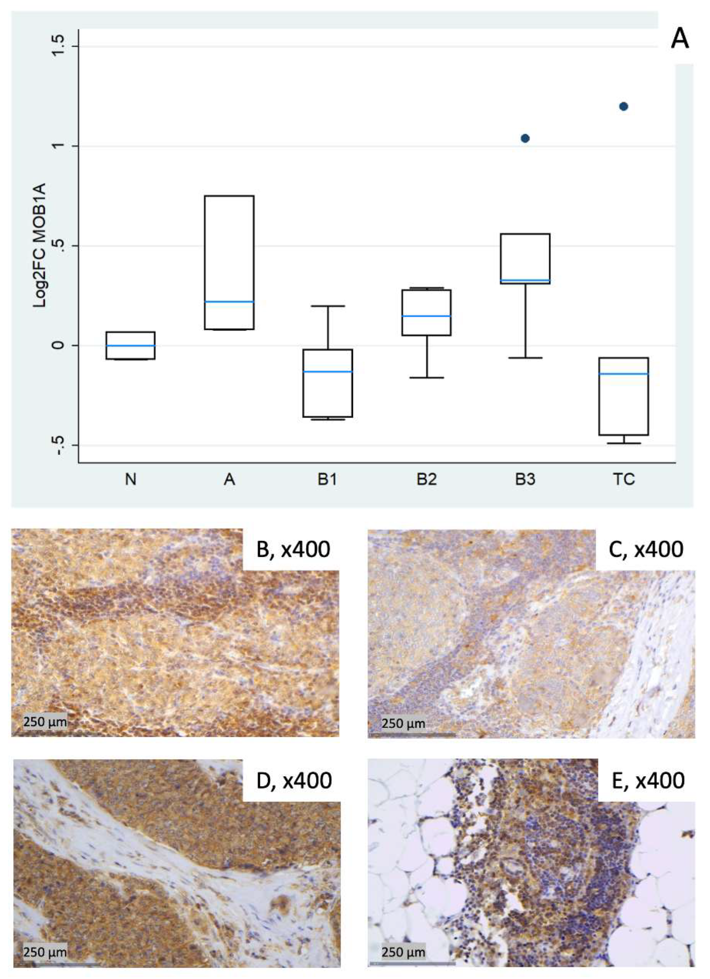 Preprints 190466 g004