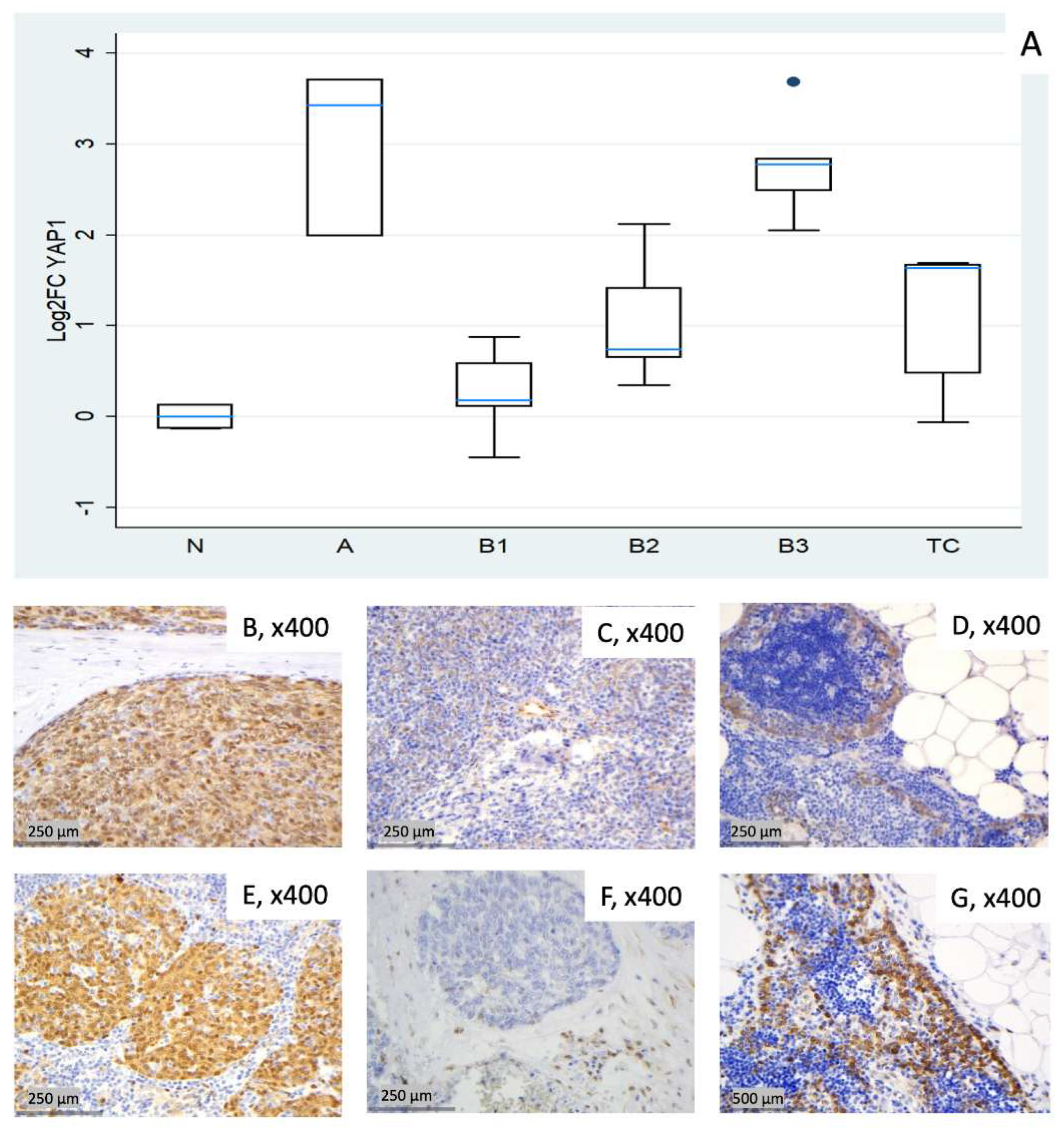 Preprints 190466 g005