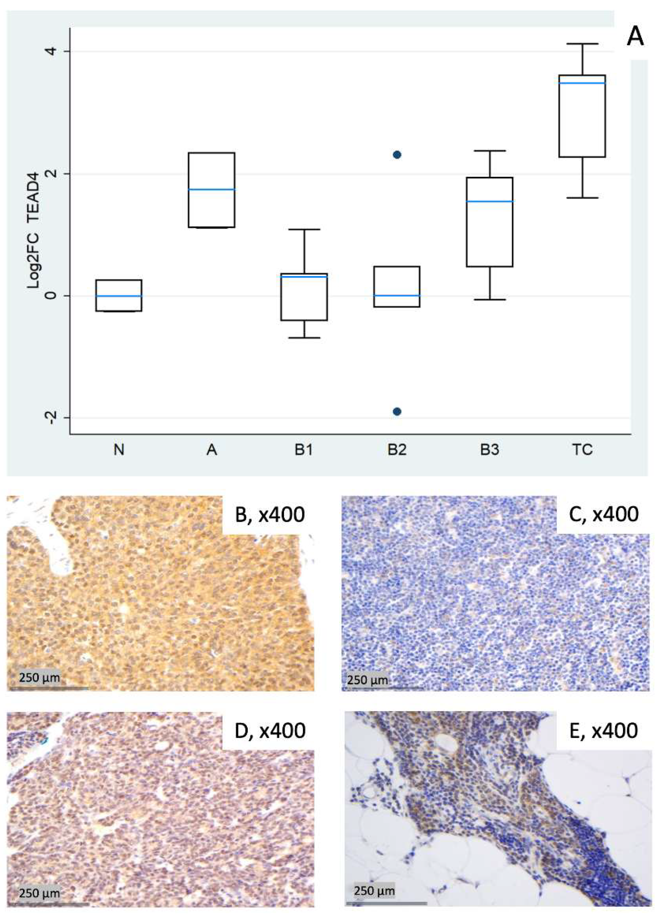 Preprints 190466 g006