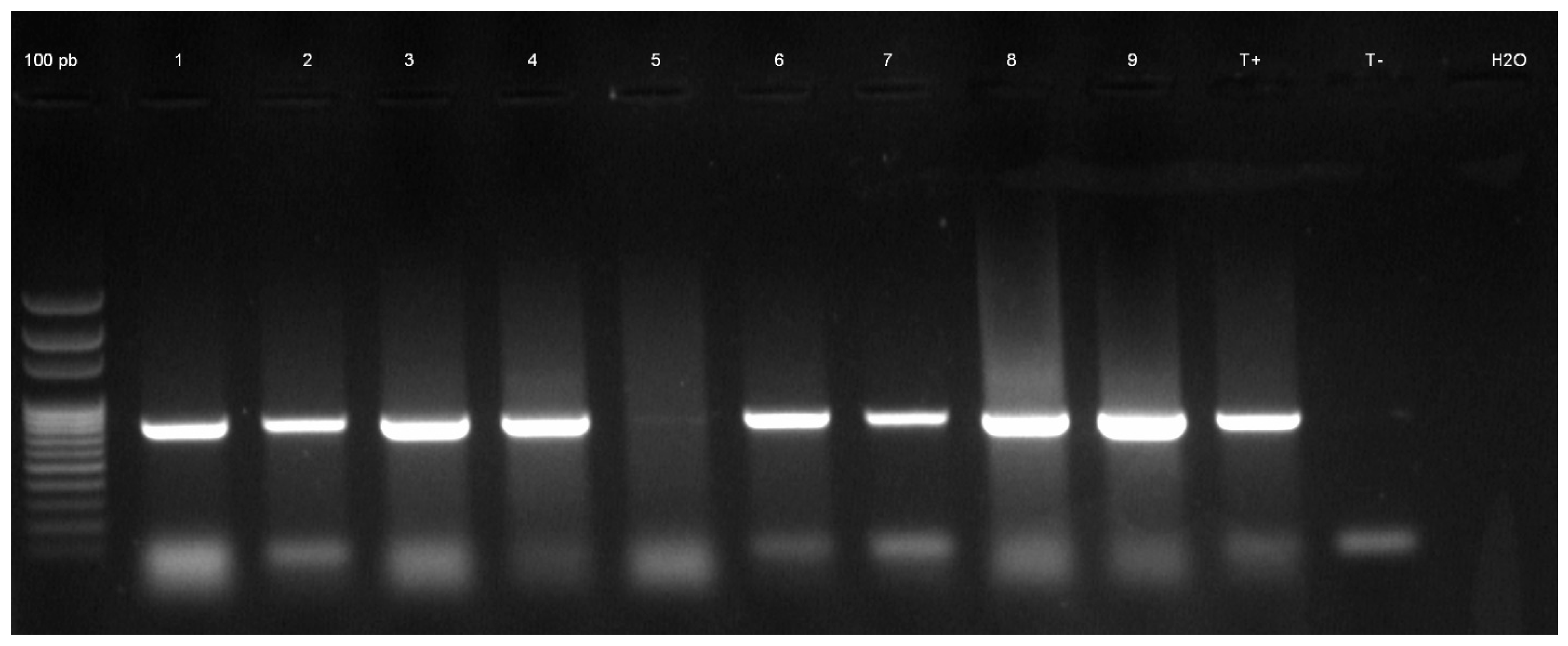 Preprints 149298 g006