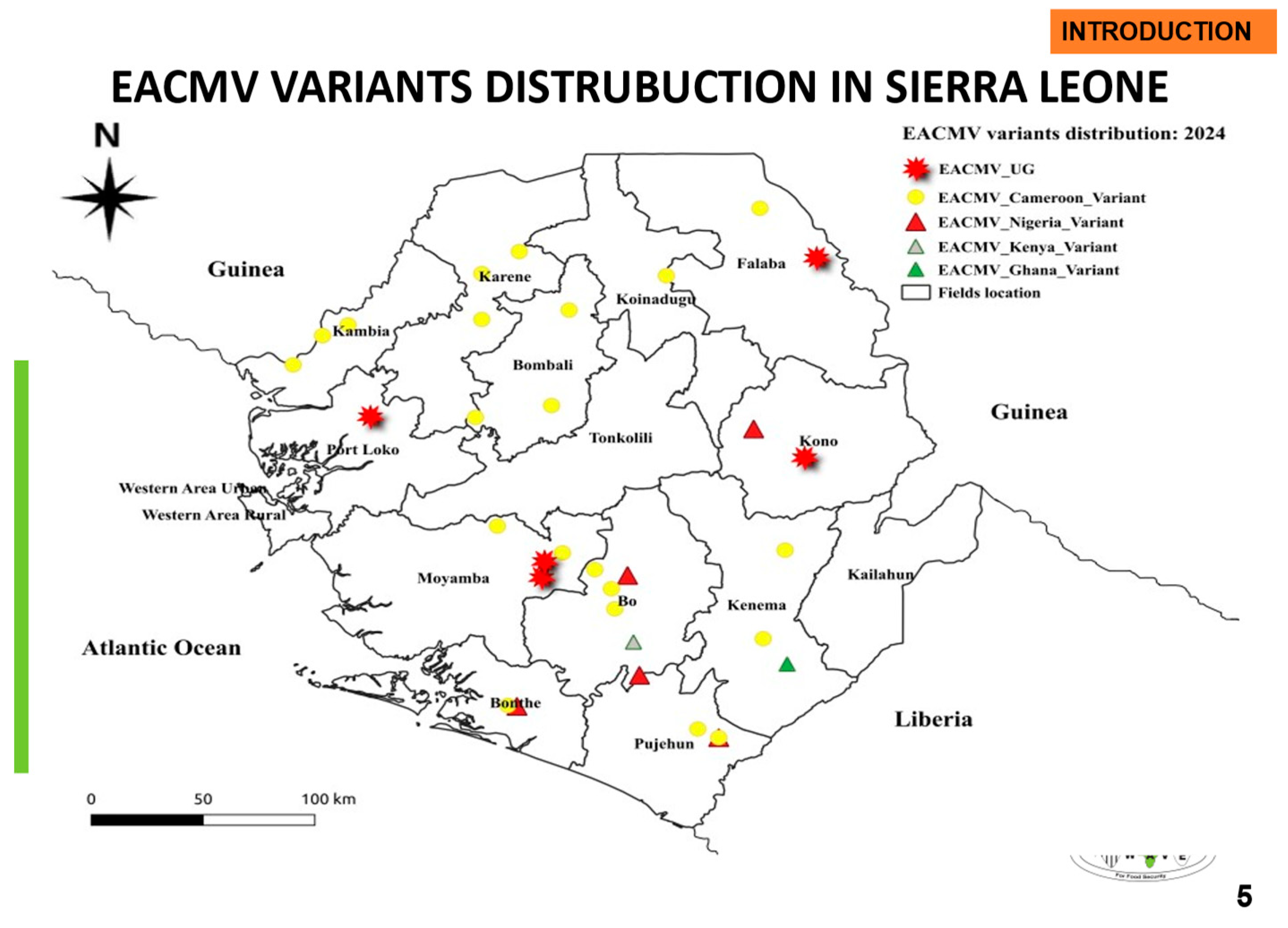 Preprints 149298 g009