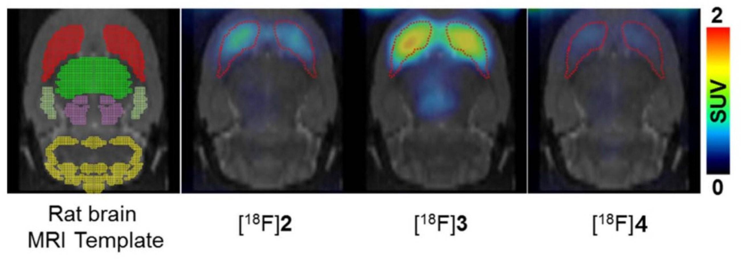 Preprints 81094 g015