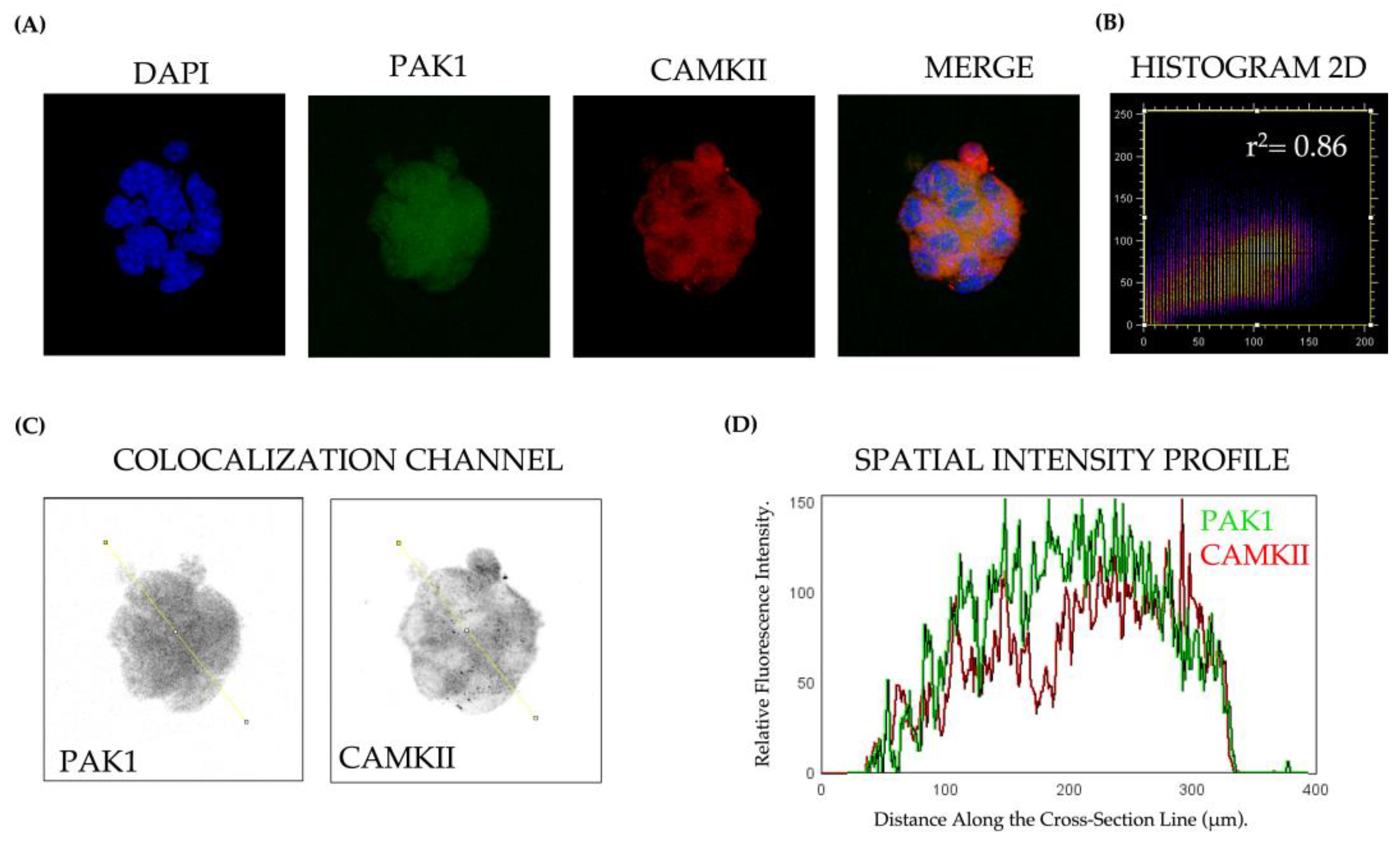Preprints 151702 g001