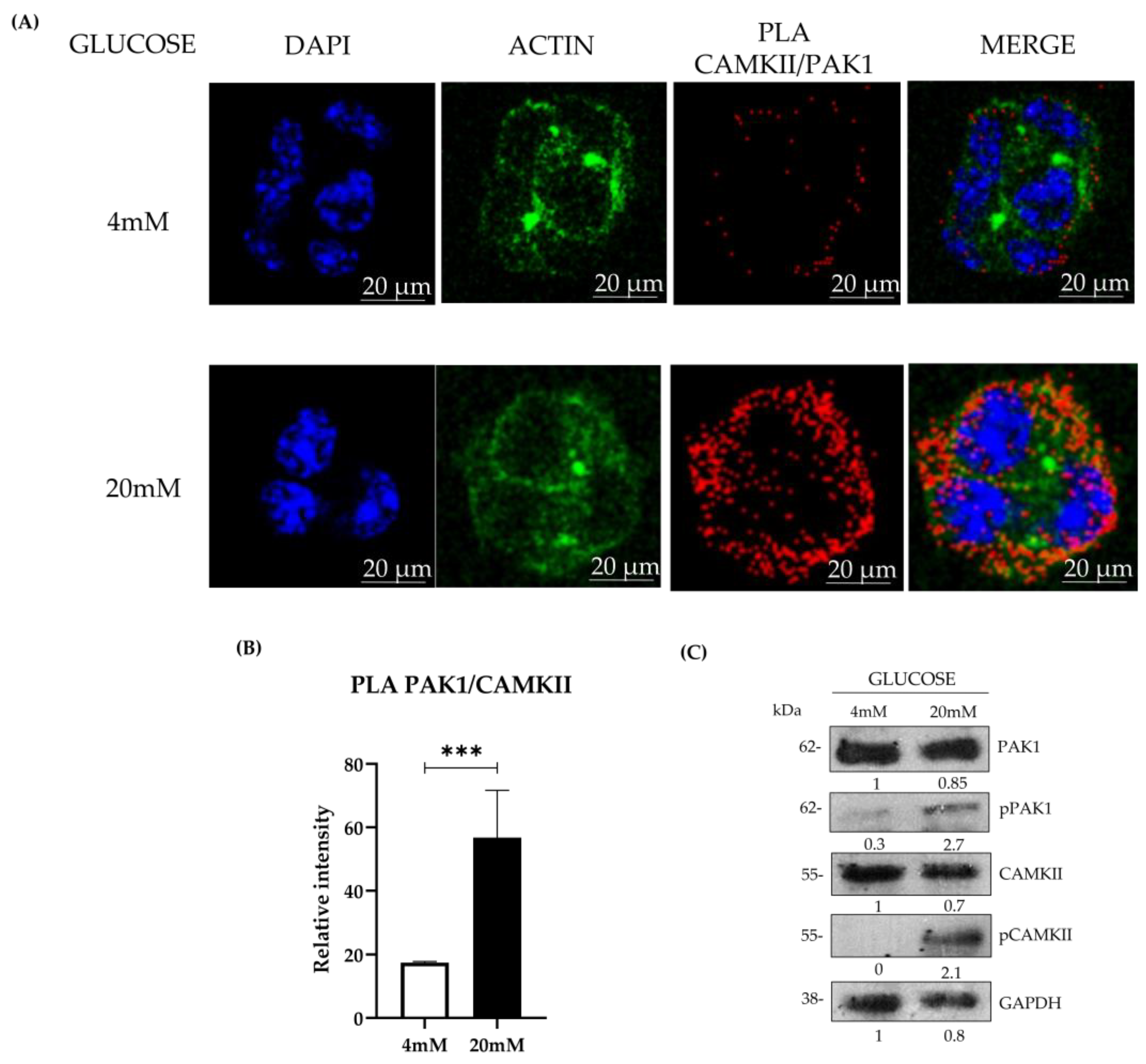 Preprints 151702 g002