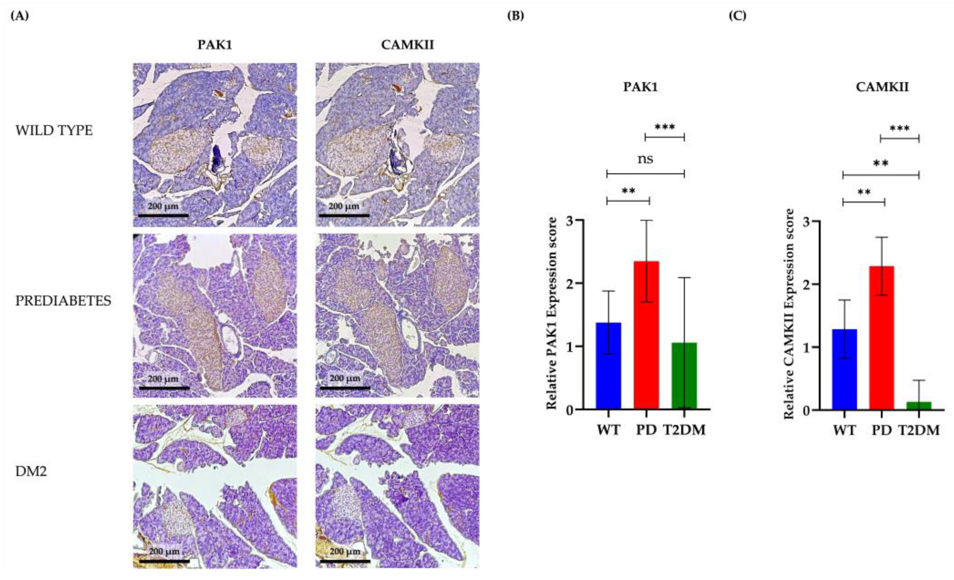 Preprints 151702 g004