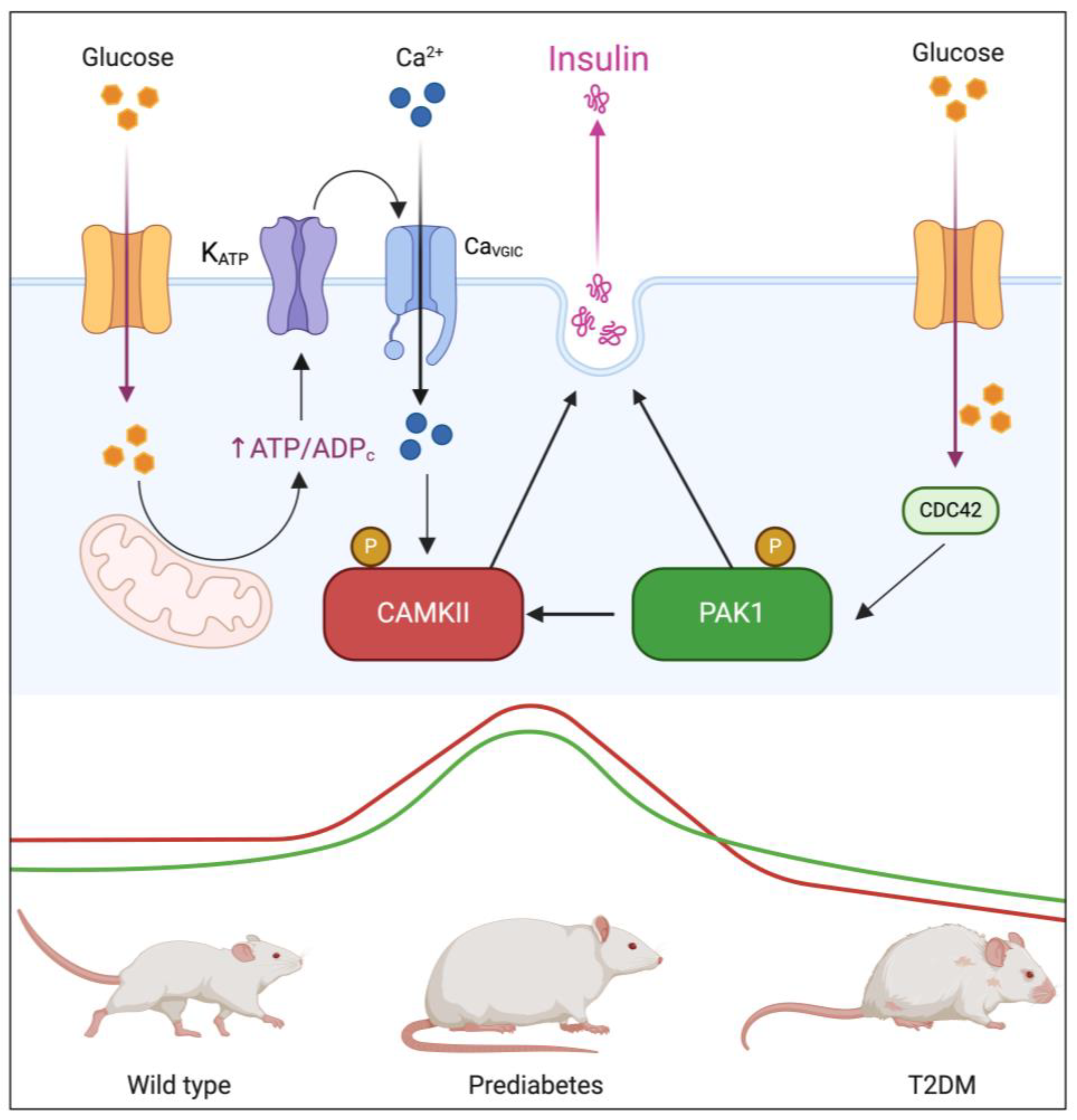 Preprints 151702 g007