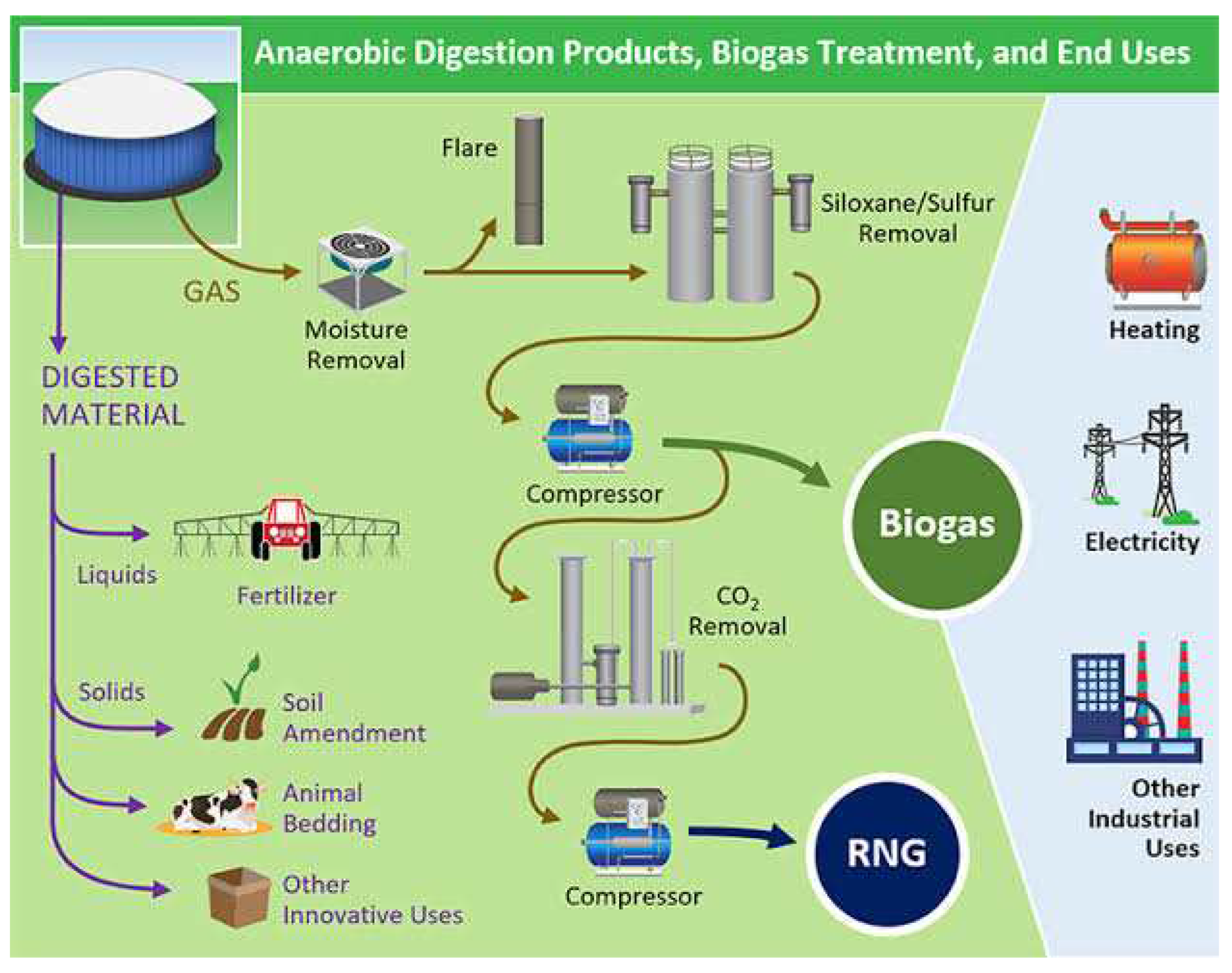 Preprints 97232 g011