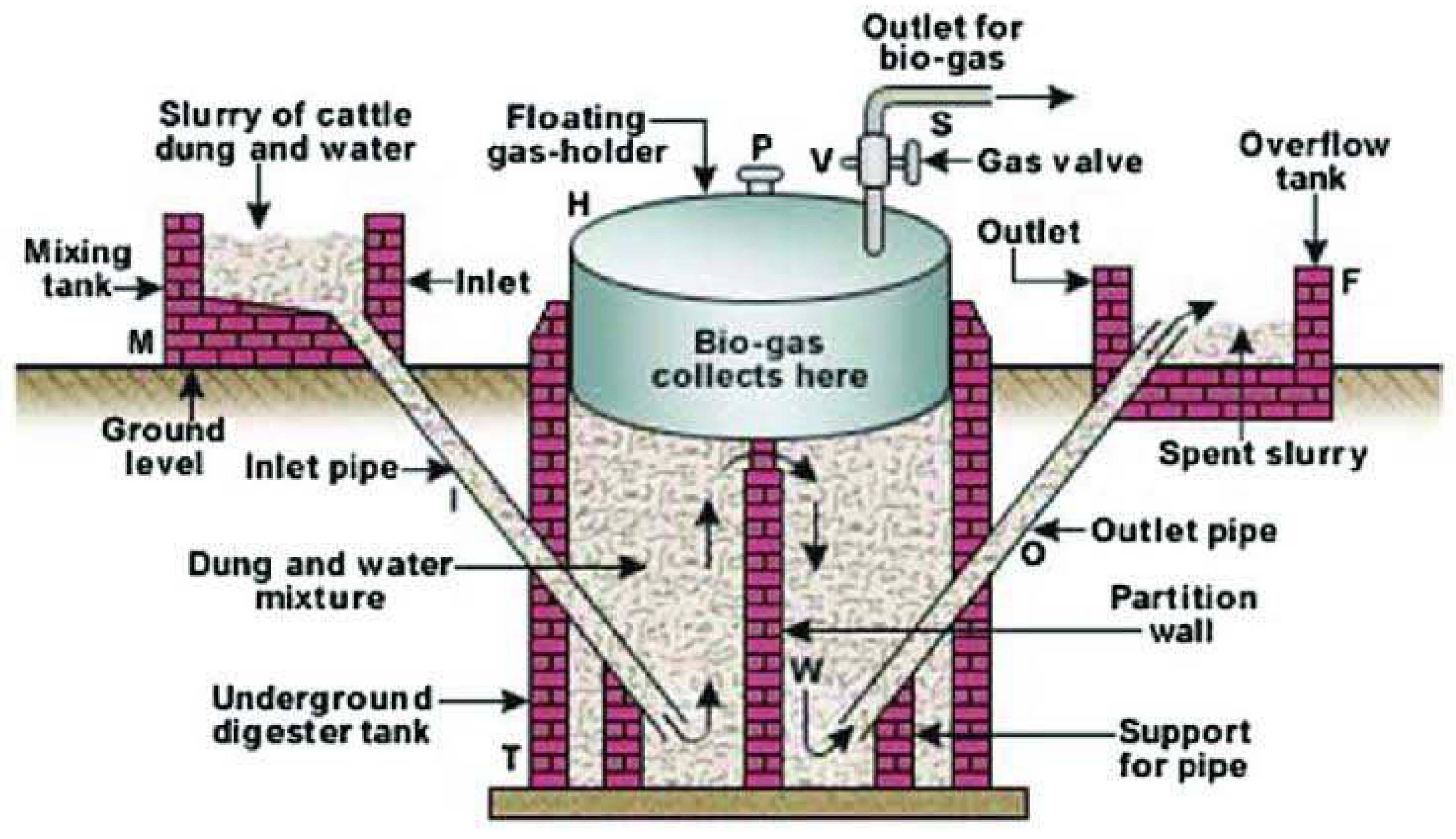 Preprints 97232 g012