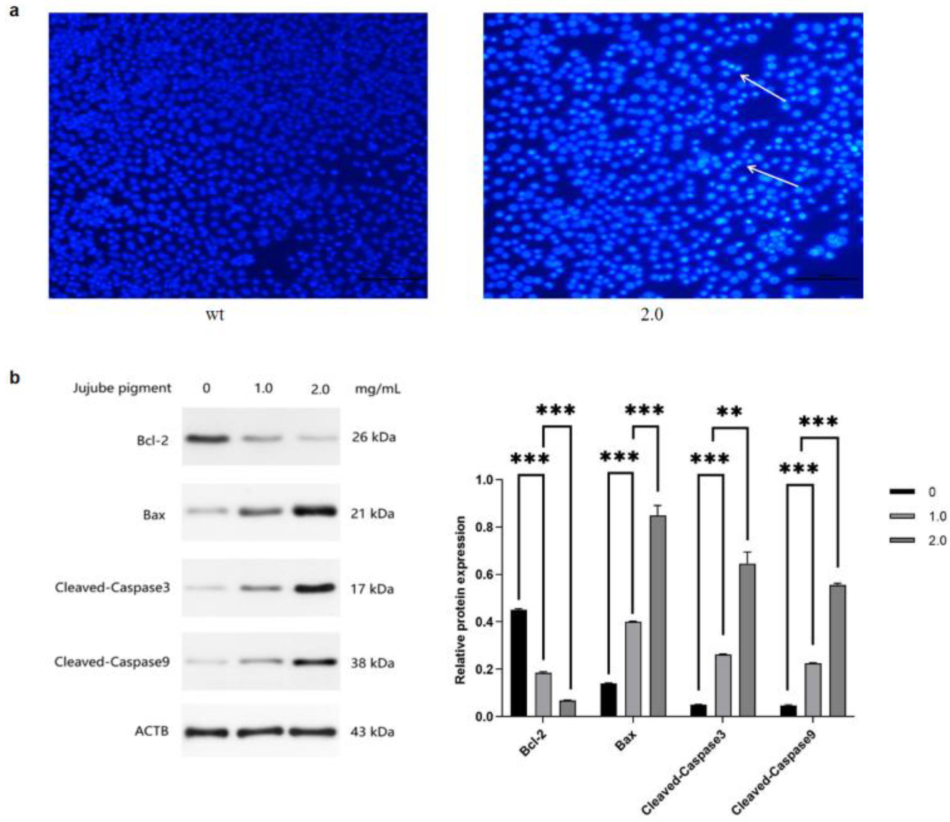 Preprints 224971 g004 Preprints 224971 g004