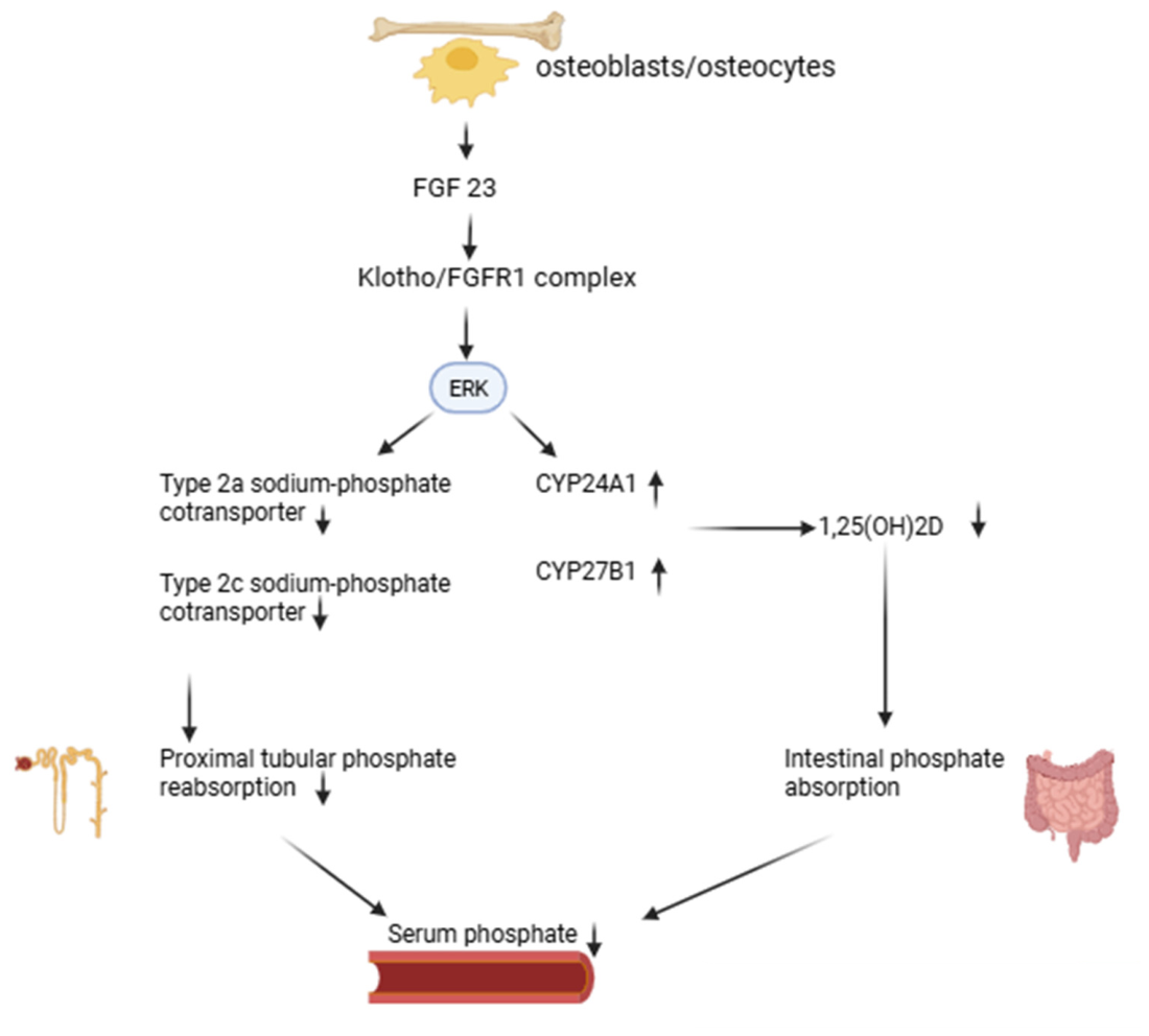 Preprints 221425 g002