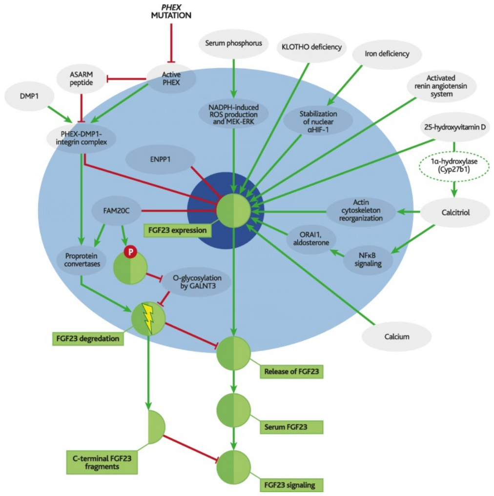 Preprints 221425 g004